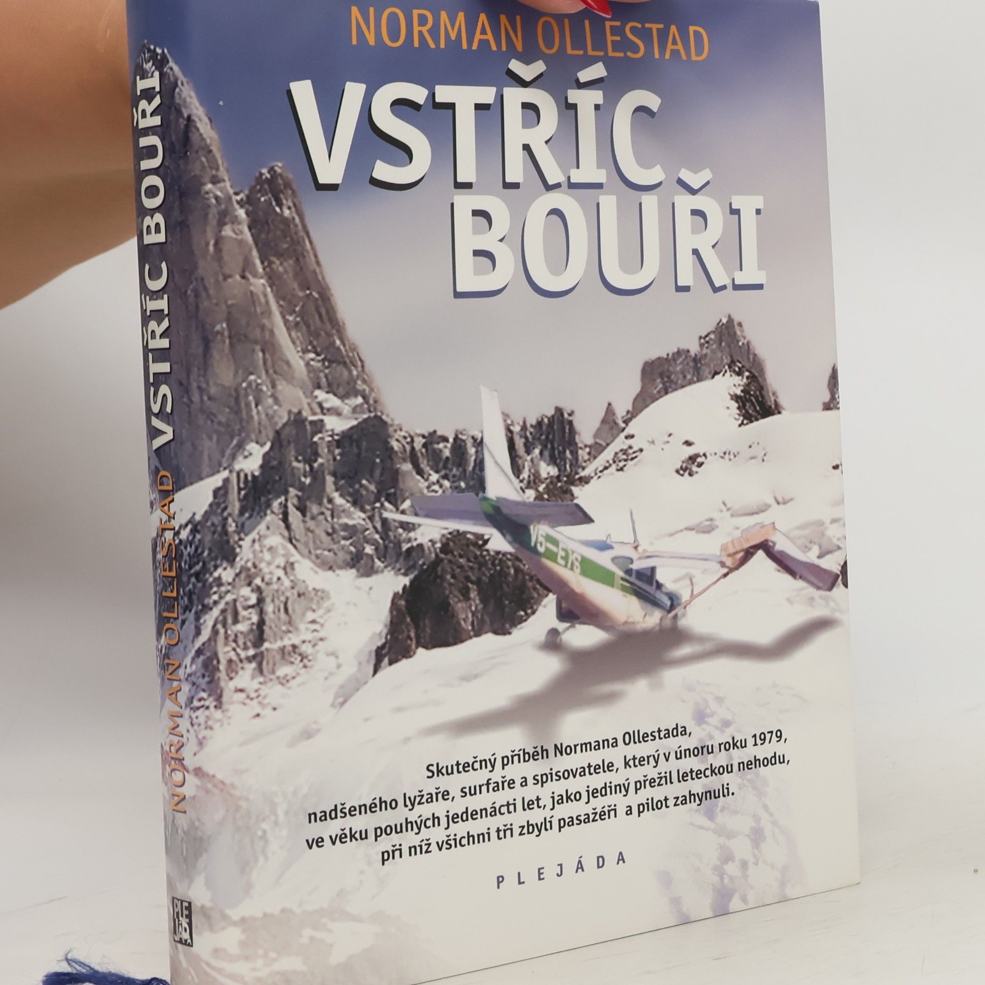 Vstříc bouři