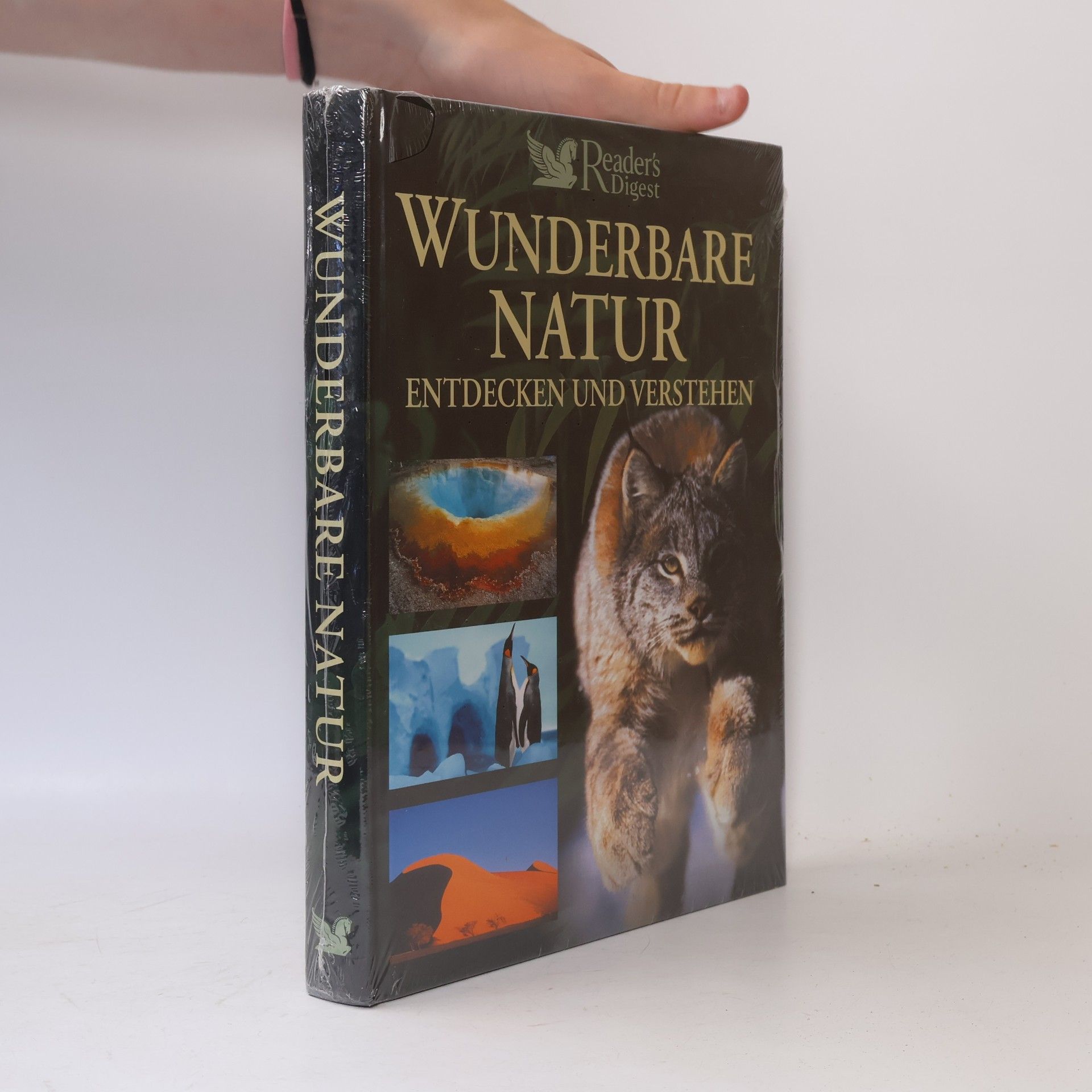 Autorenkollektiv Wunderbare Natur. Entdecken und Verstehen