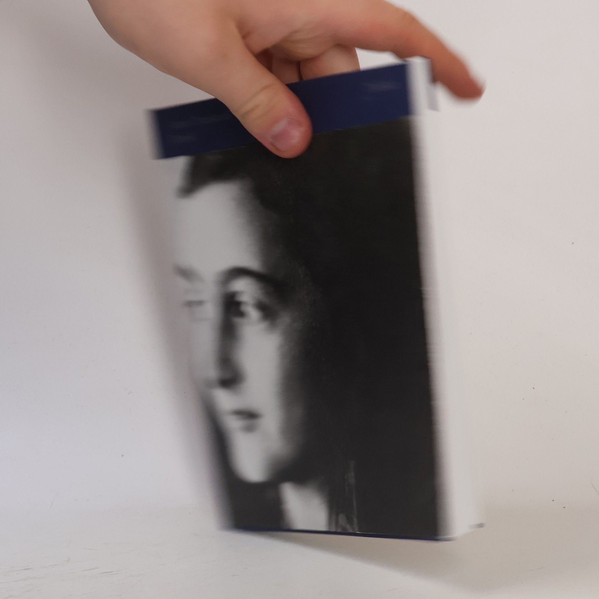 Anne Frank Deník