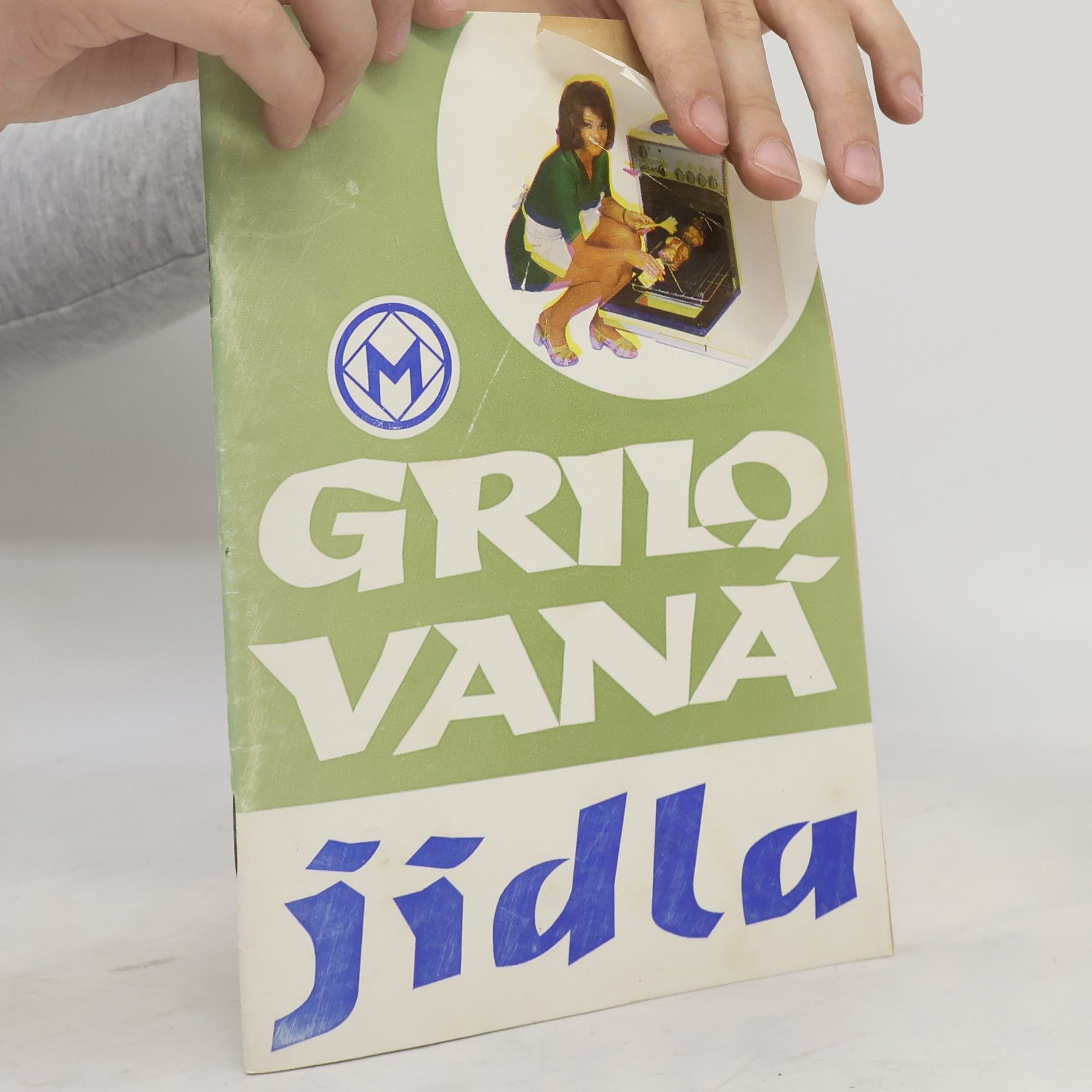 Kolektiv autorů Grilovaná jídla