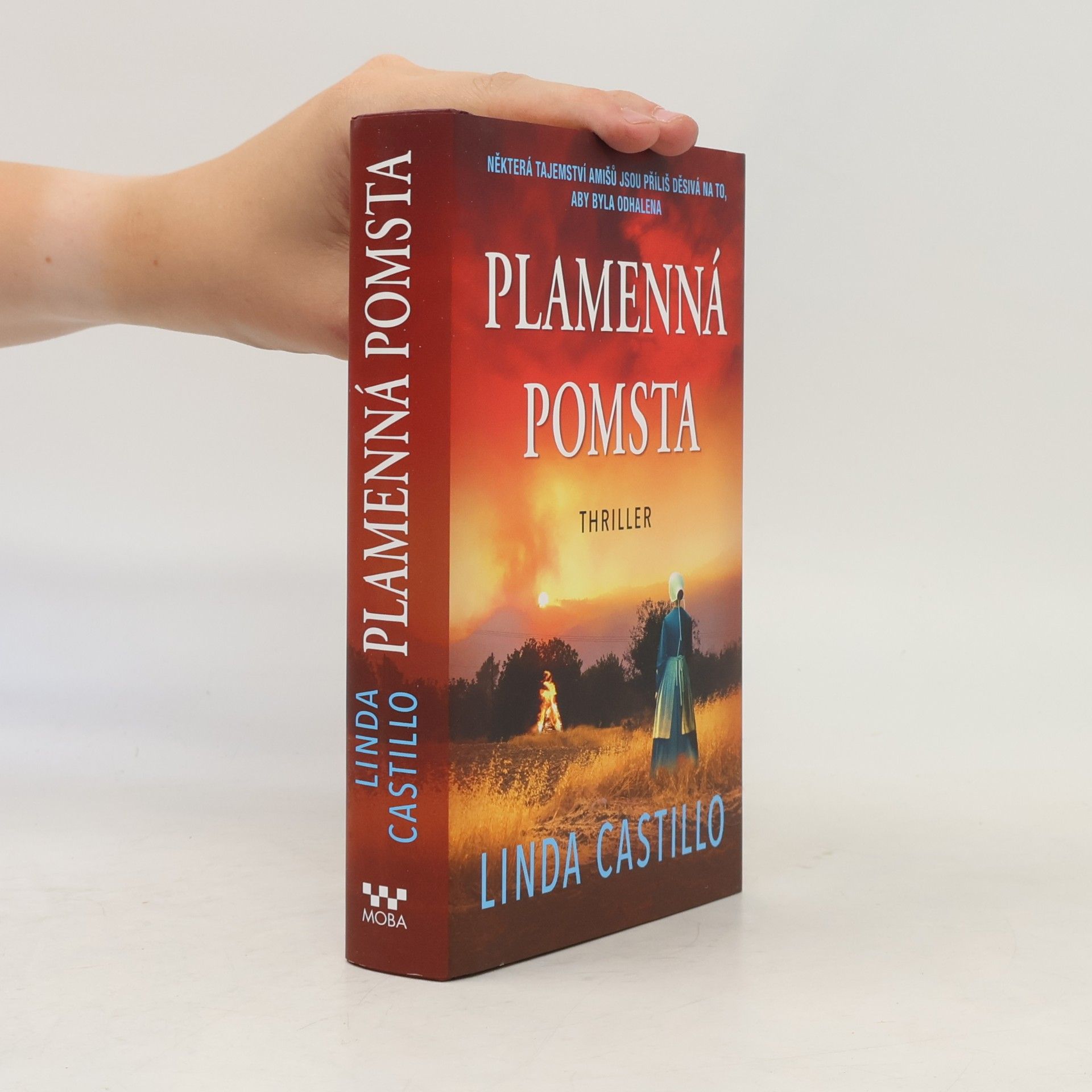 Linda Castillo Plamenná pomsta
