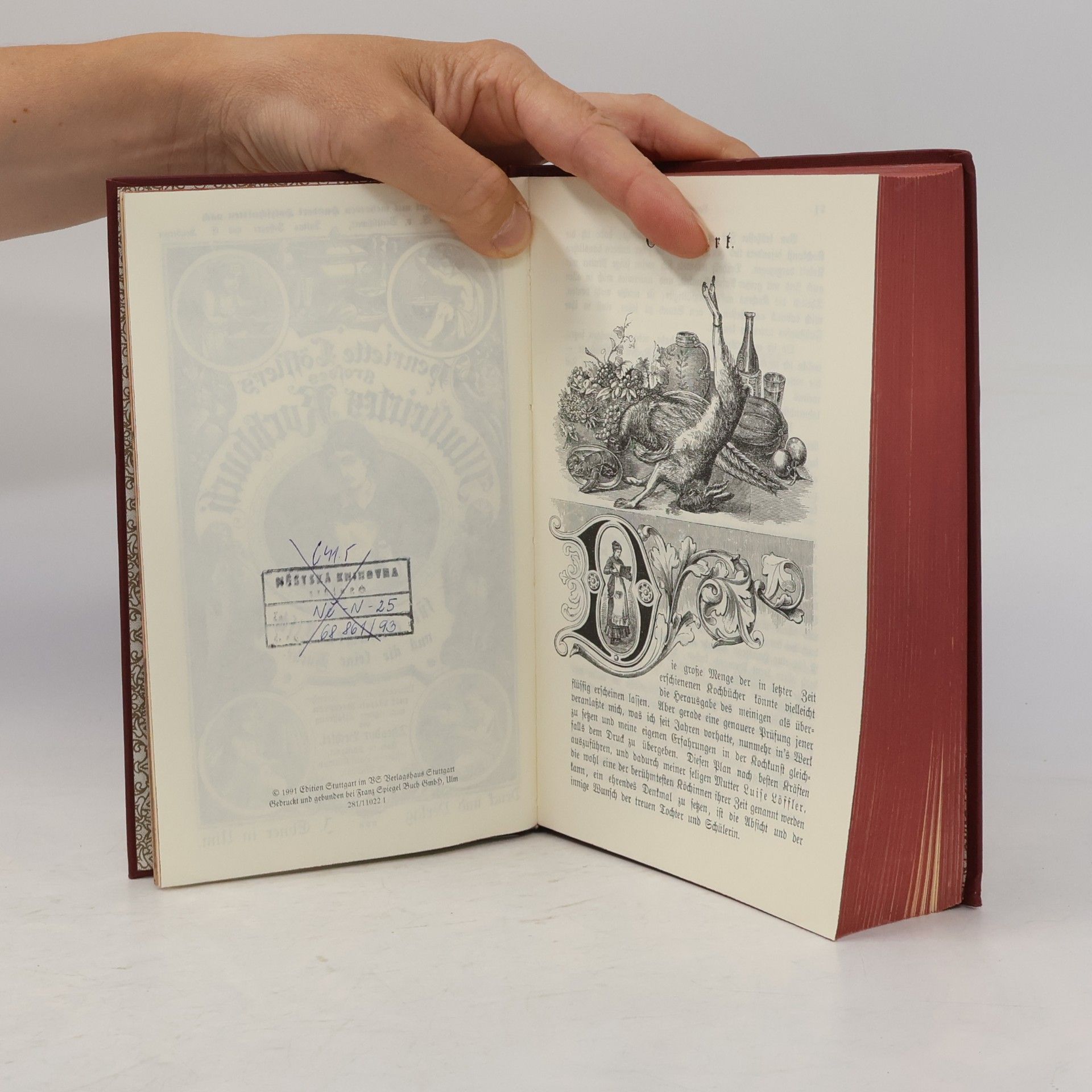 Theodor Bechtel Henriette Löfflers grosses illustriertes Kochbuch