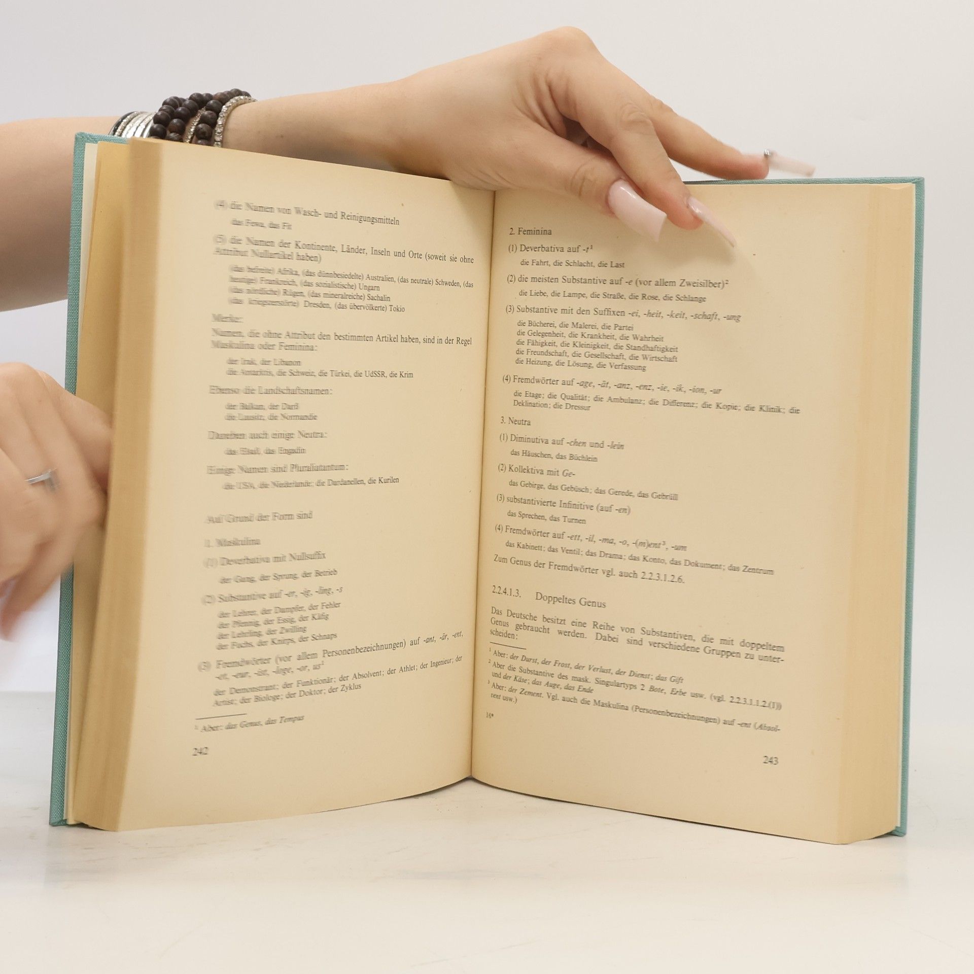 Gerhard Helbig Deutsche Grammatik