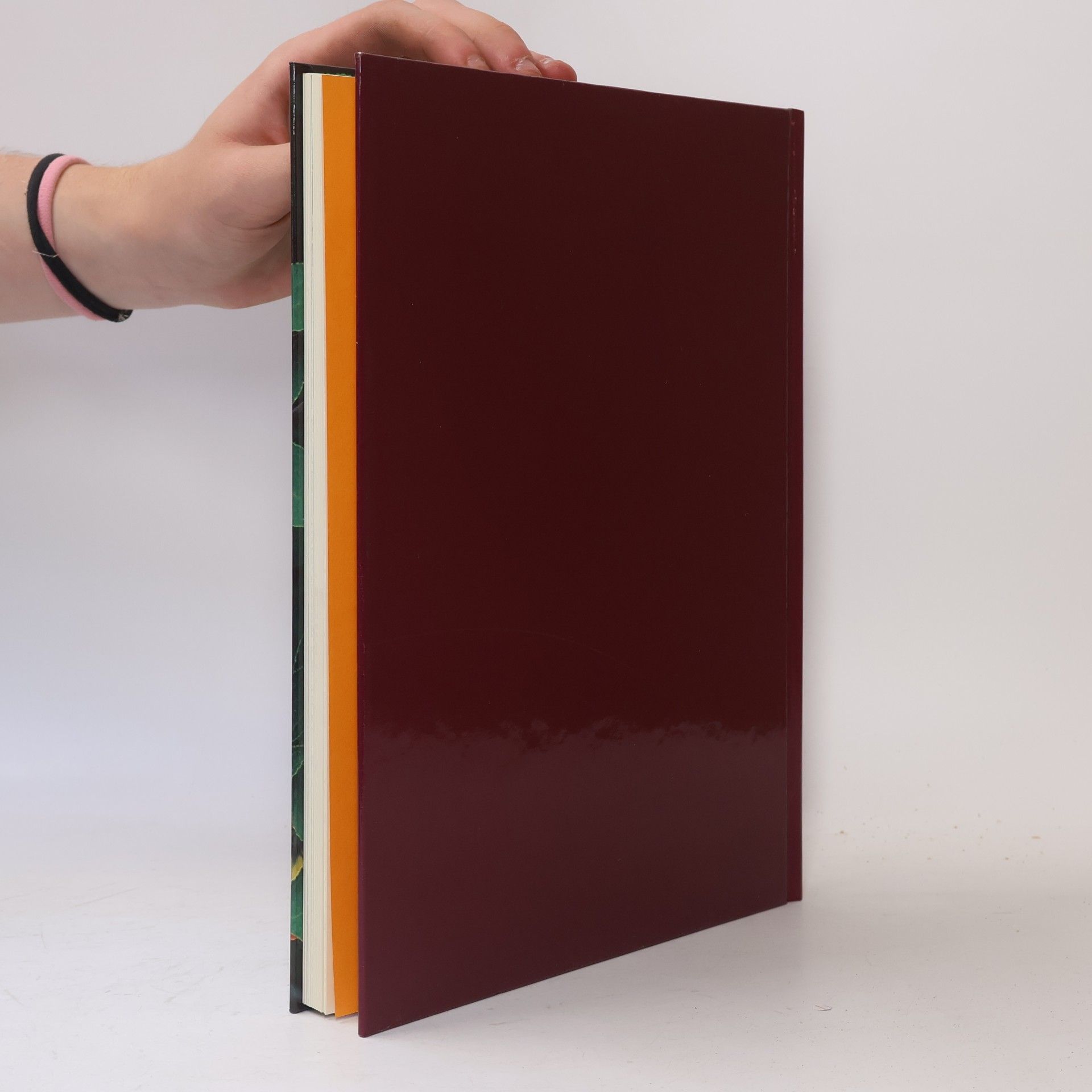 Autores varios Ziersträucher