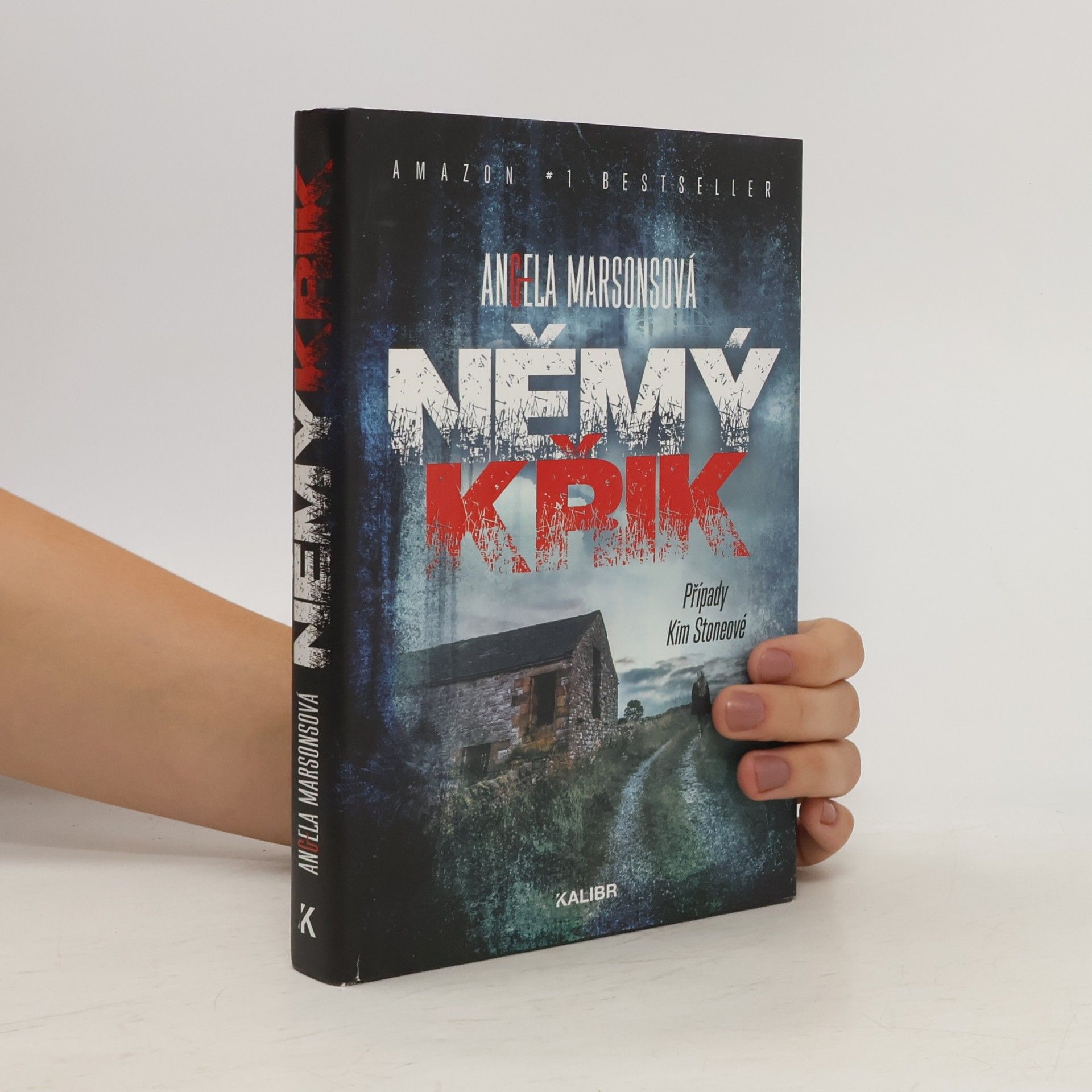 Angela Marsons Němý křik