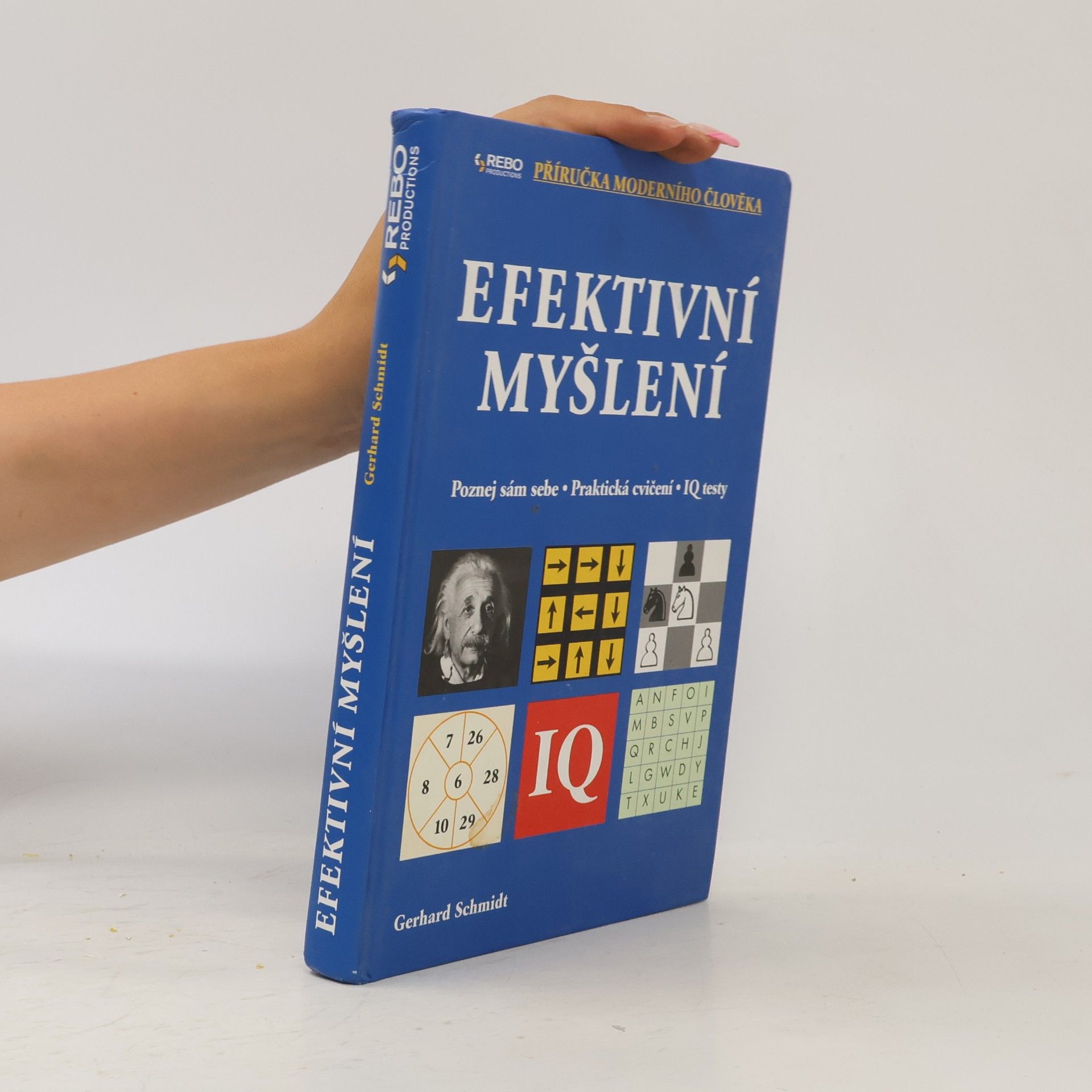 Gerhard Schmidt Efektivní myšlení