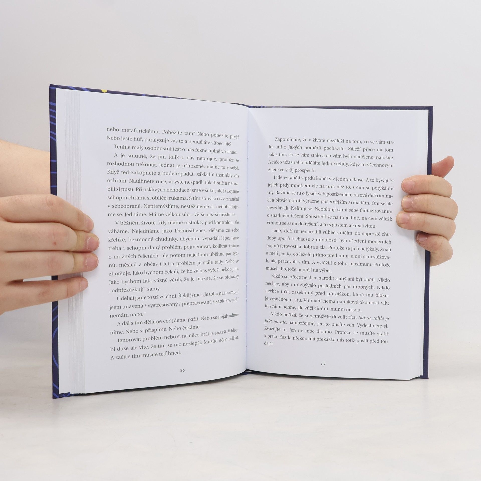 Ryan Holiday Překážka jako cesta