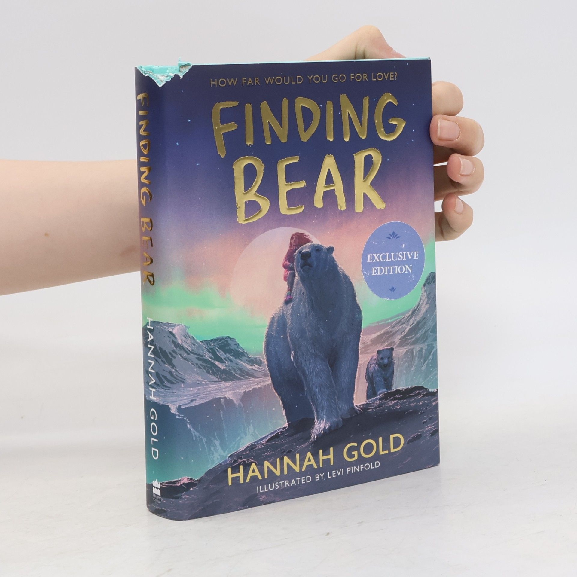Hannah Gold Finding Bear