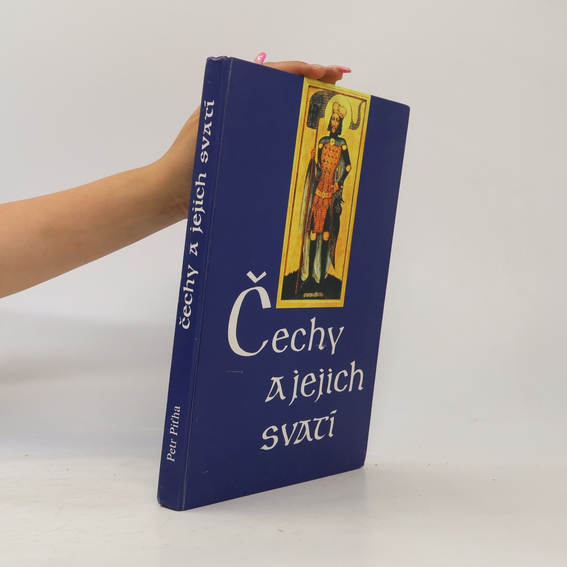 Petr Pit̕ha Čechy a jejich svatí