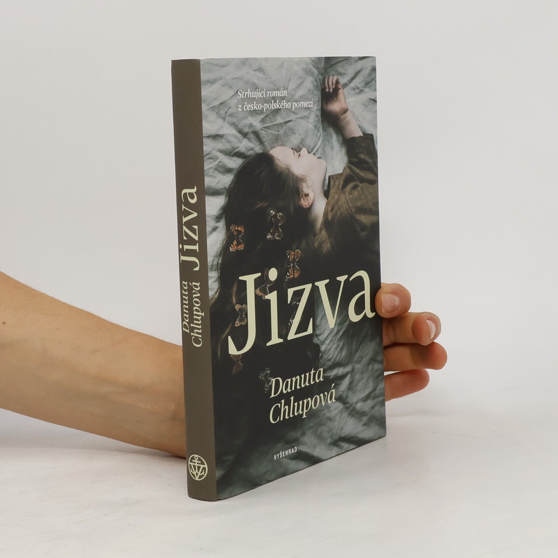Danuta Chlupová Jizva