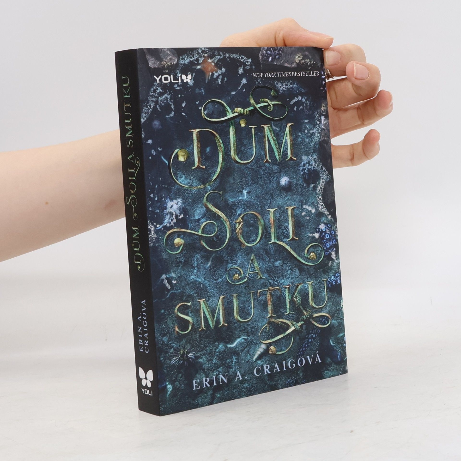 Erin A. Craig Dům soli a smutku