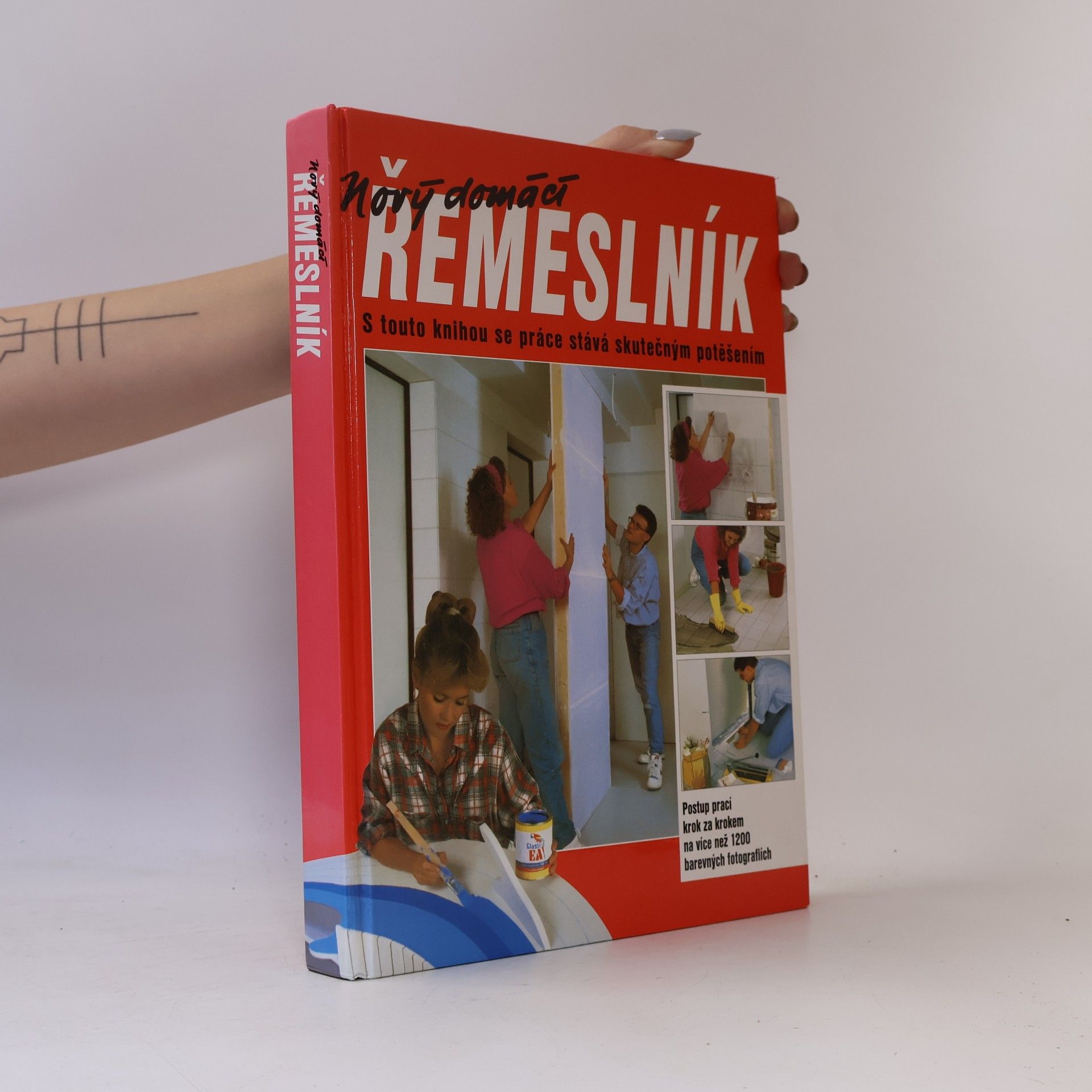 Dieter Rex Nový domácí řemeslník