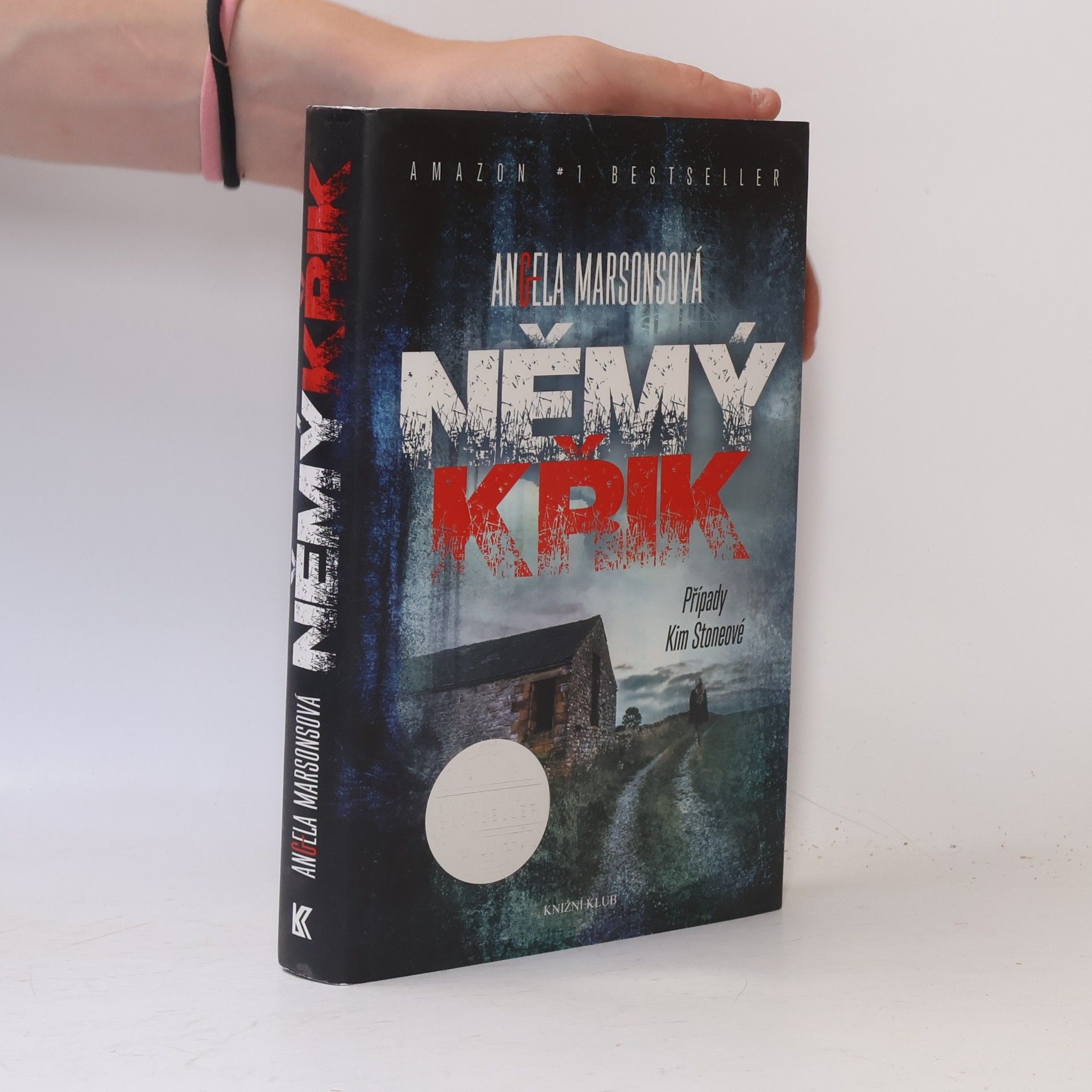 Angela Marsons Němý křik