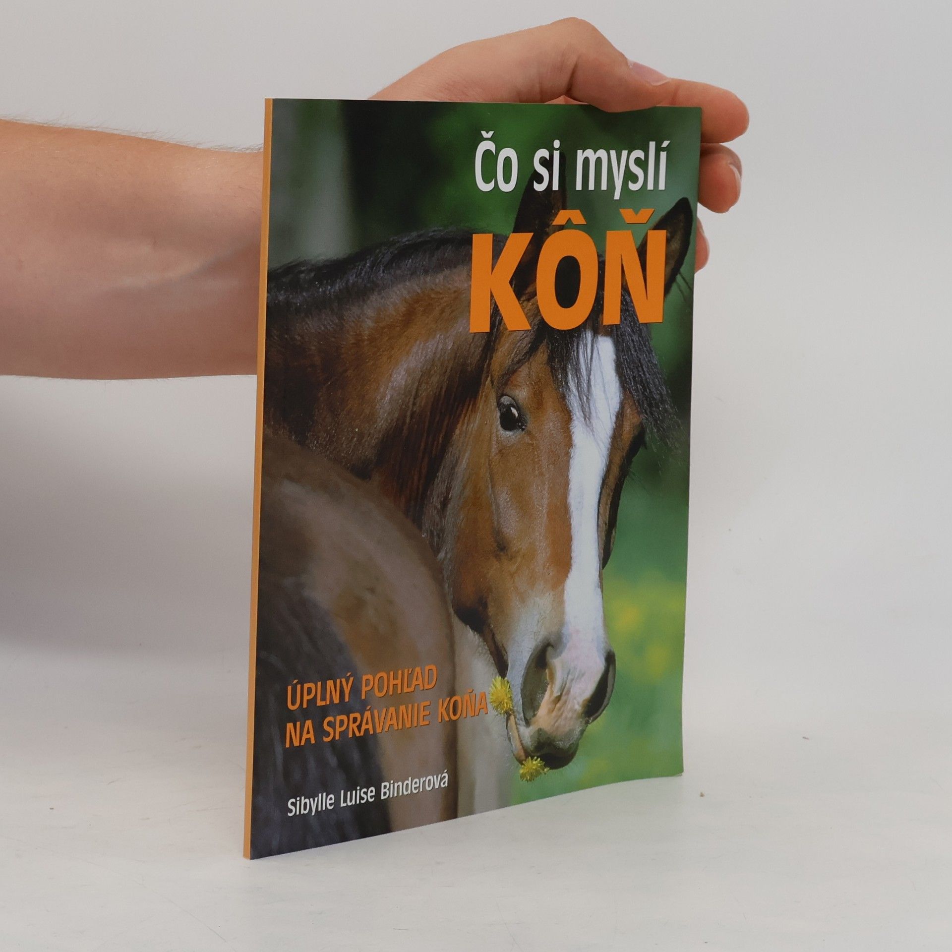 Sibylle Luise Binder Čo si myslí kôň