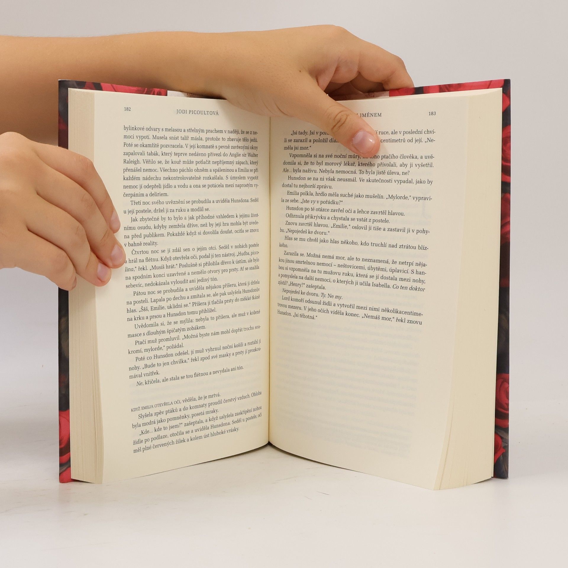 Jodi Picoult Pod jiným jménem