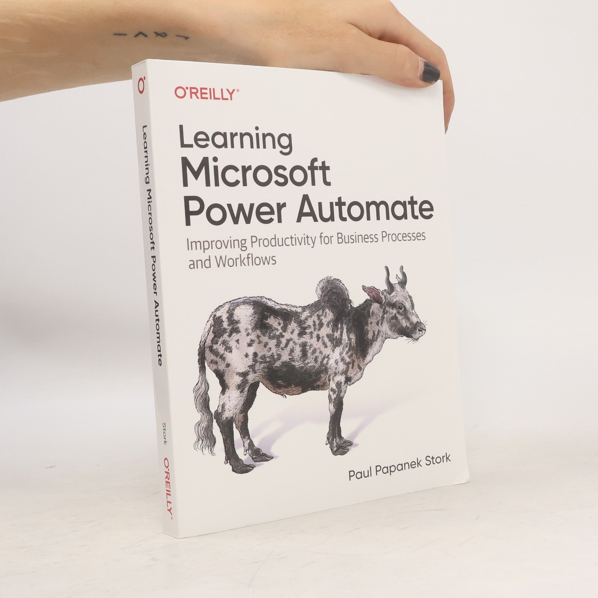 Paul Papanek Stork Learning Microsoft Power Automate