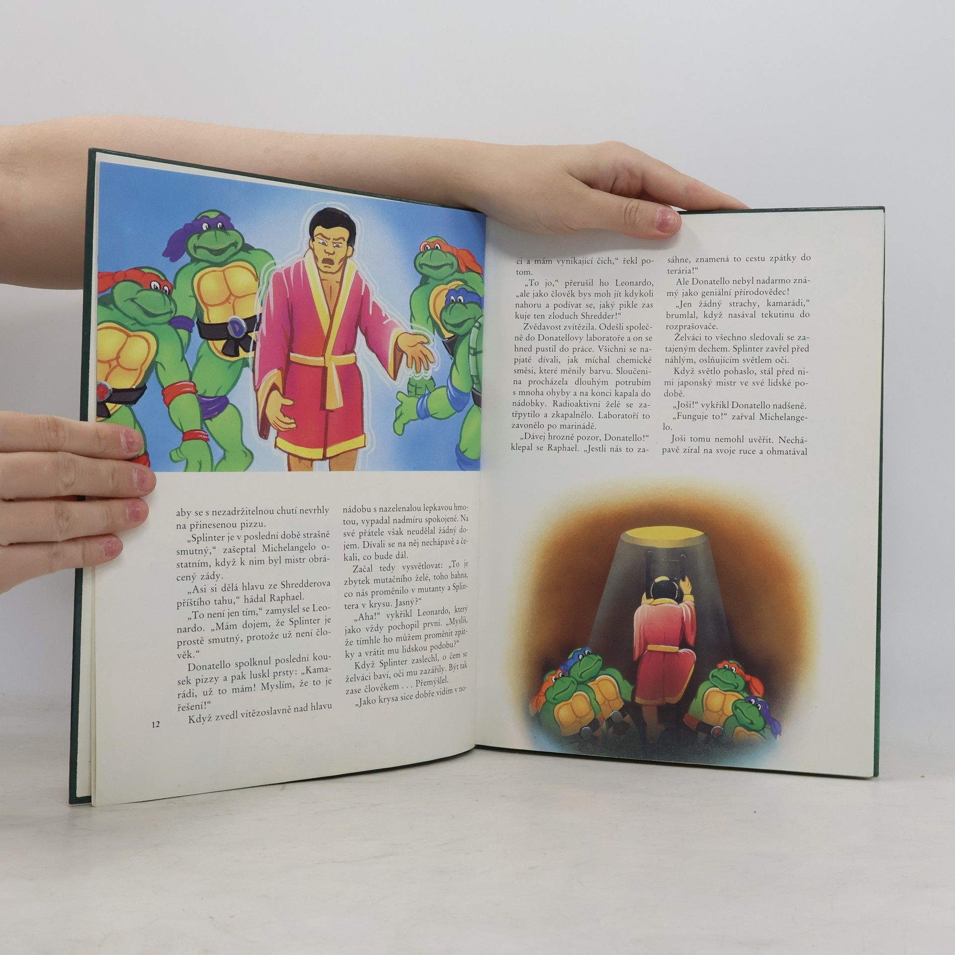 Maureen Spurgeon Teenage Mutant Ninja Turtles. Hrdinové z podzemí