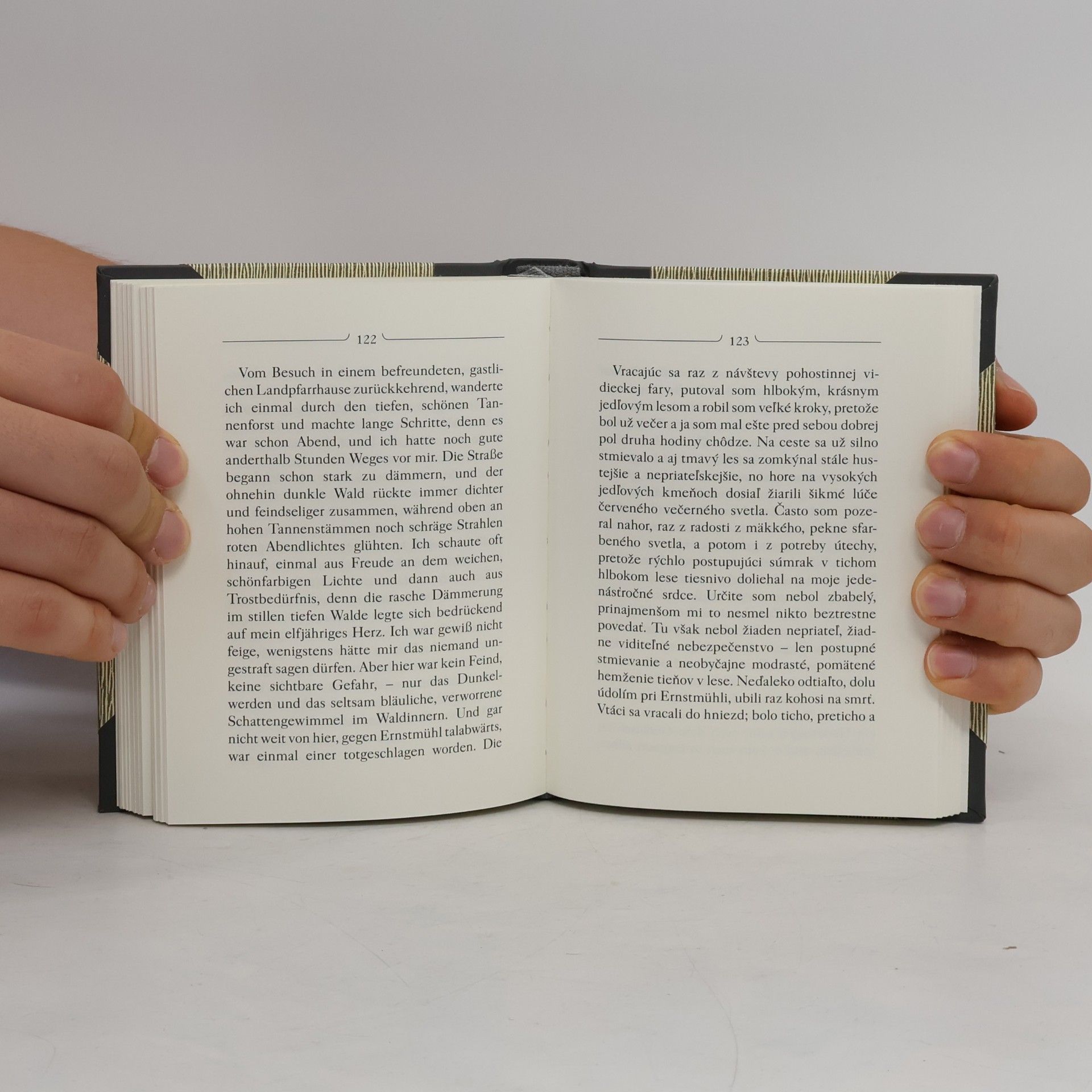 Hermann Hesse Na Ceste / Am Weg