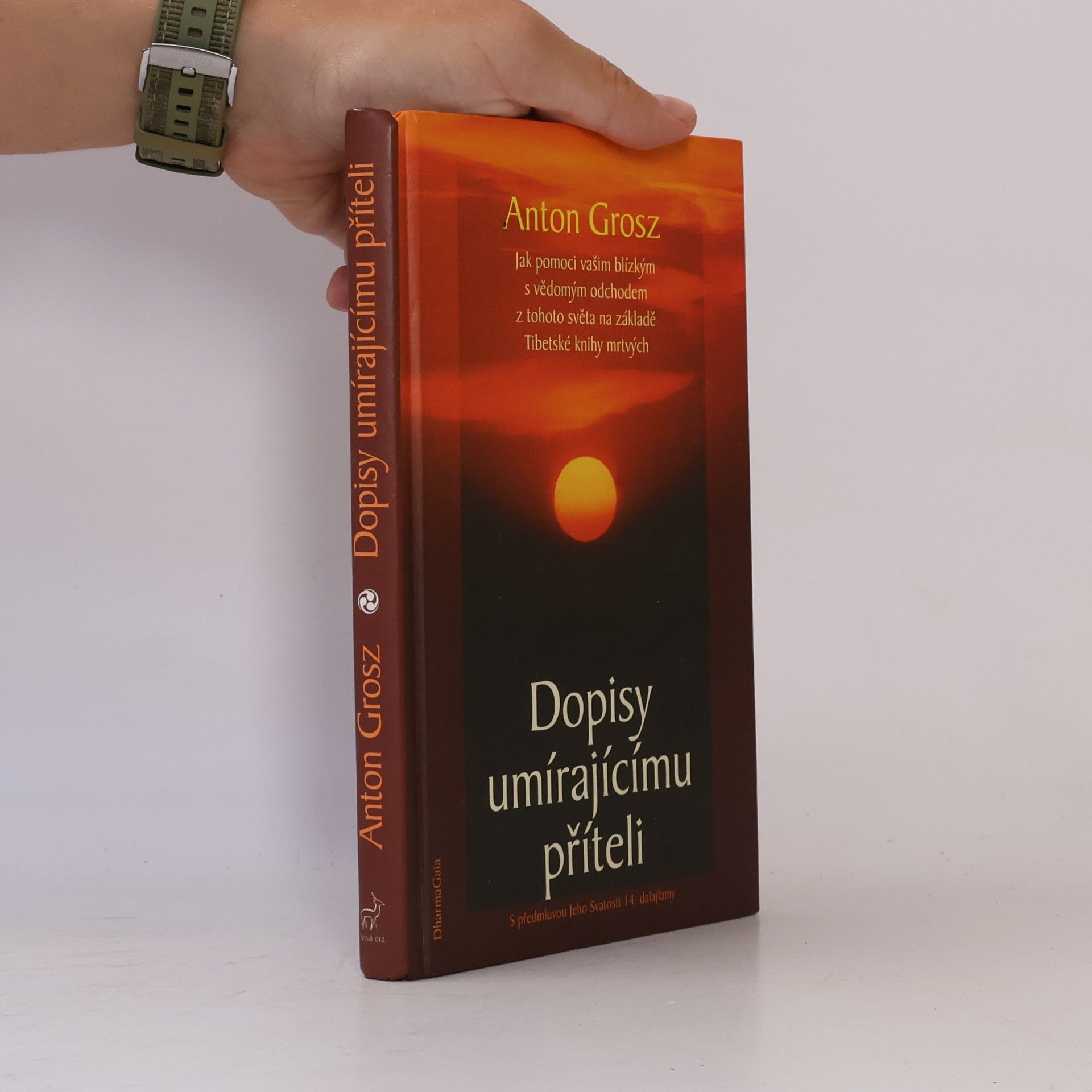 Anton Grosz Dopisy umírajícímu příteli