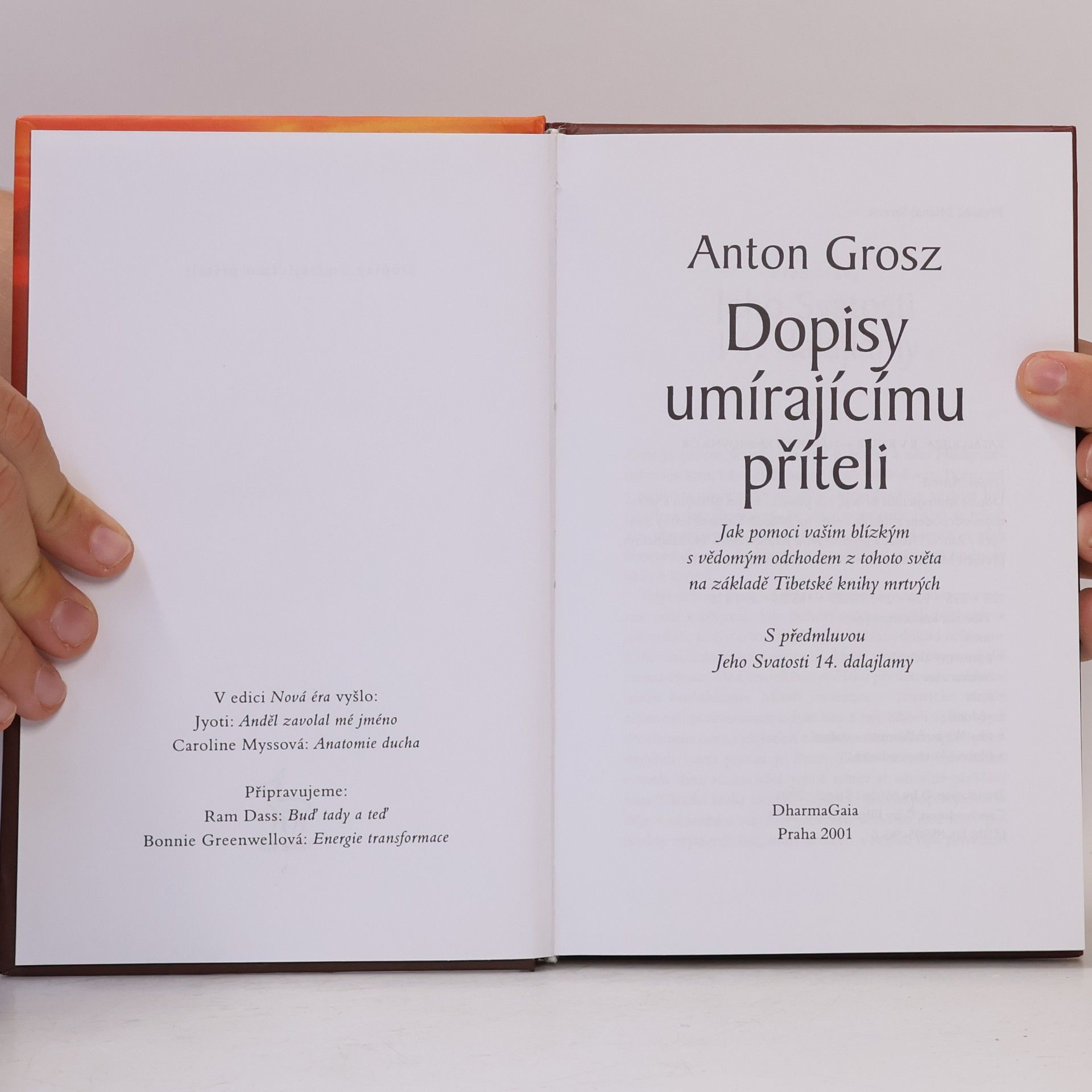 Anton Grosz Dopisy umírajícímu příteli