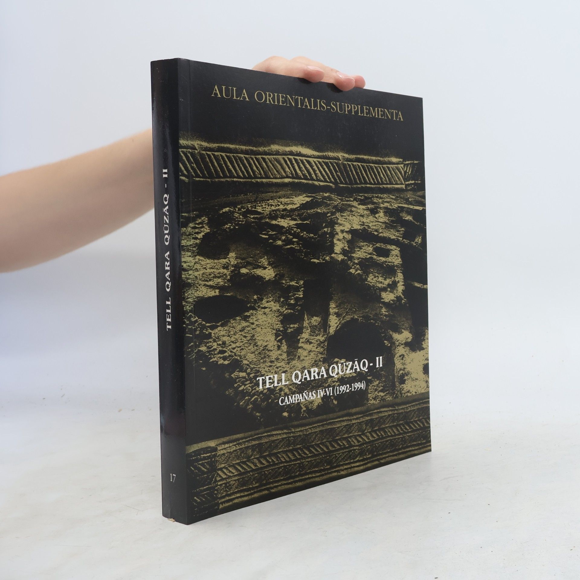 Autorenkollektiv Tell Qara Qūzāq - II