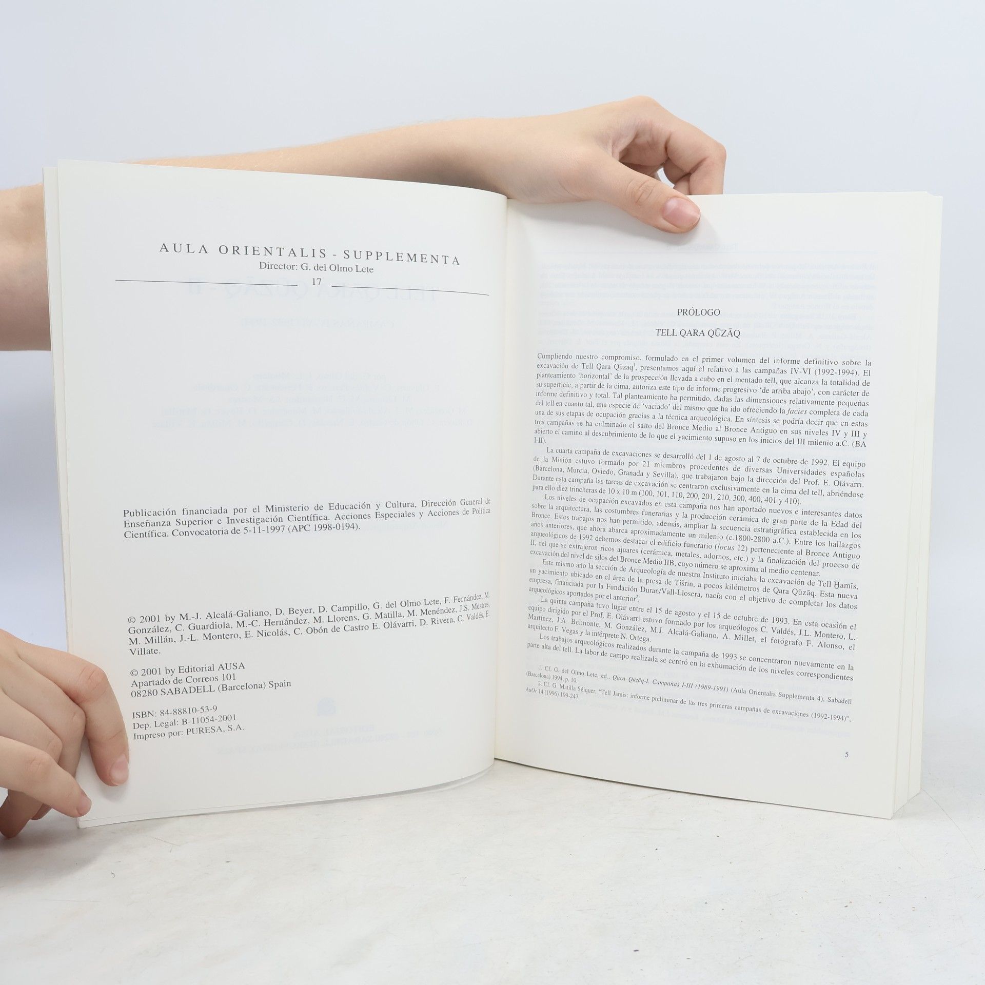 Autorenkollektiv Tell Qara Qūzāq - II