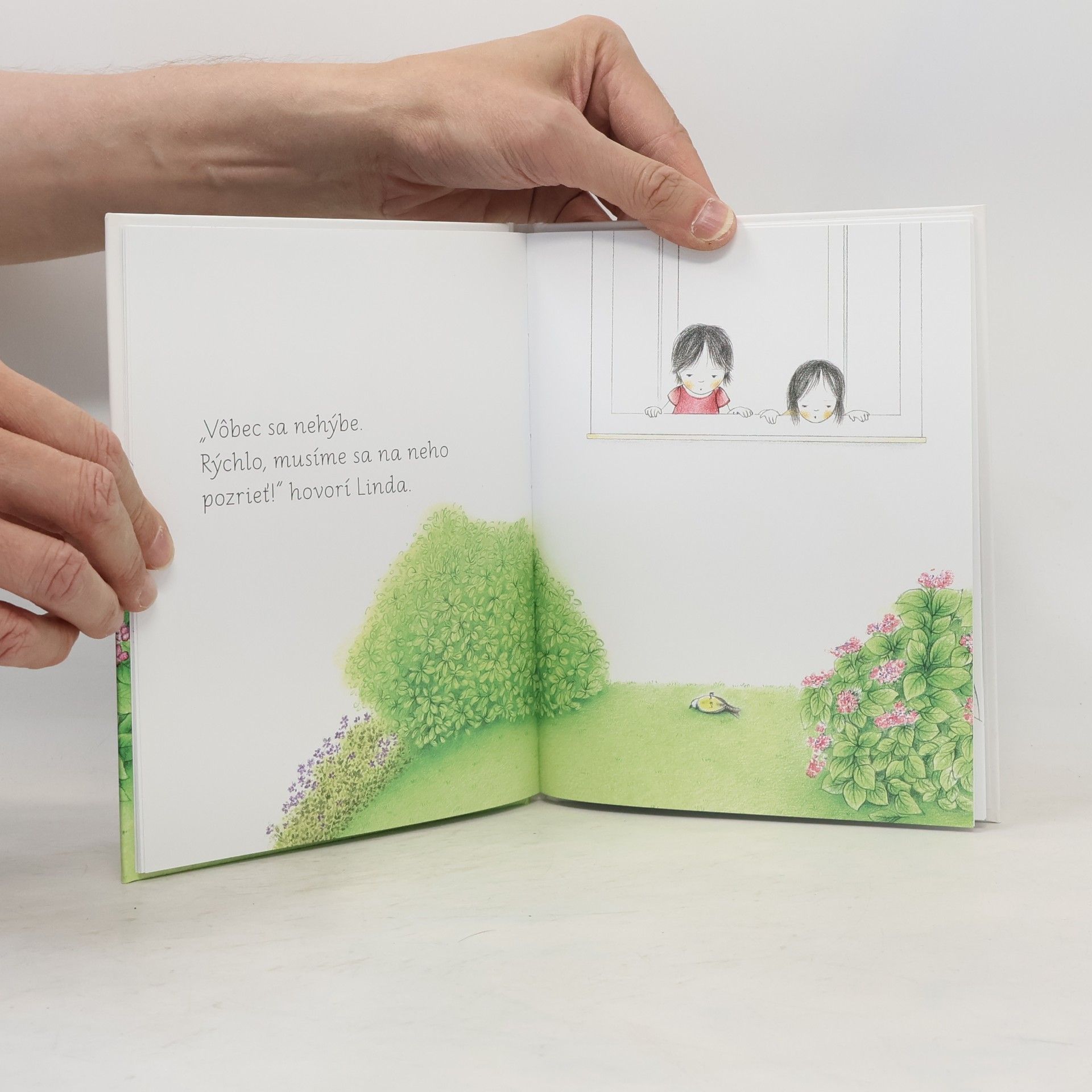 Ève Herrmann Montessori: Zranený vtáčik