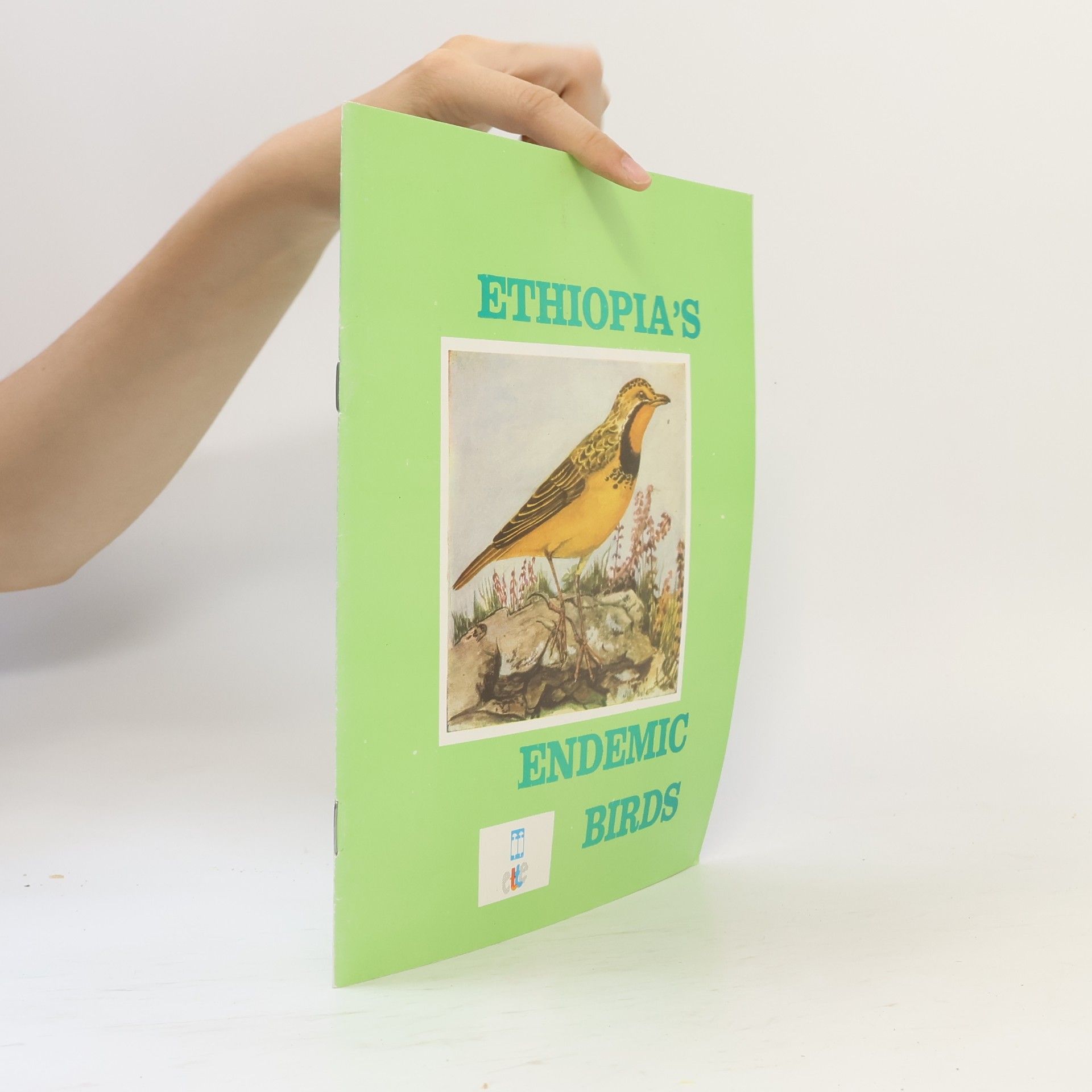 Ethiopia’s Endemic Birds