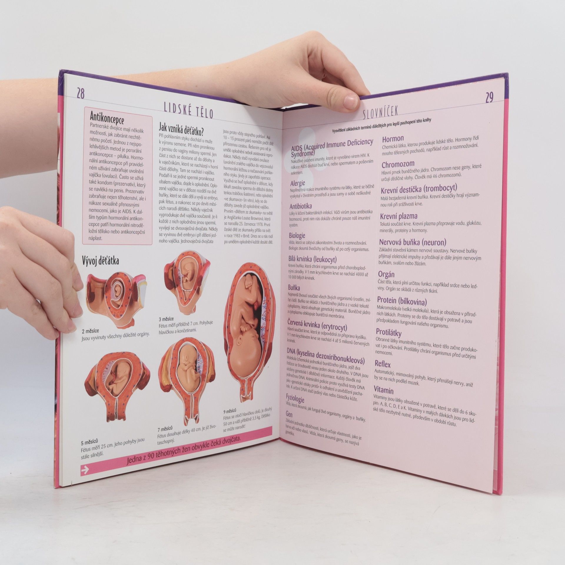 Autores varios Atlas pro mládež. Lidské tělo