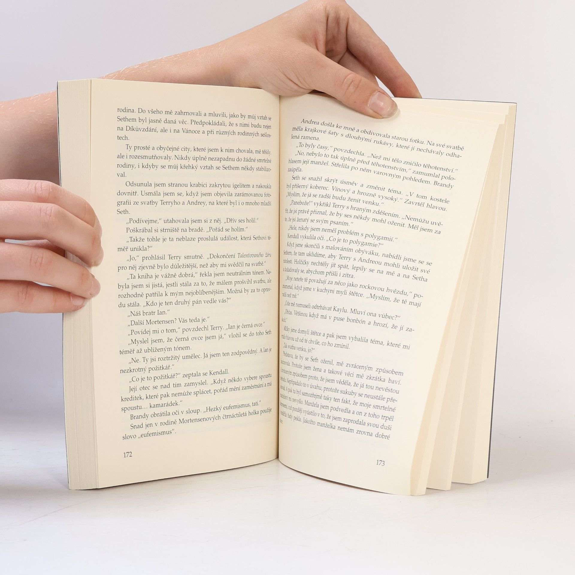 Richelle Mead Sukuba 2. Na vrcholu