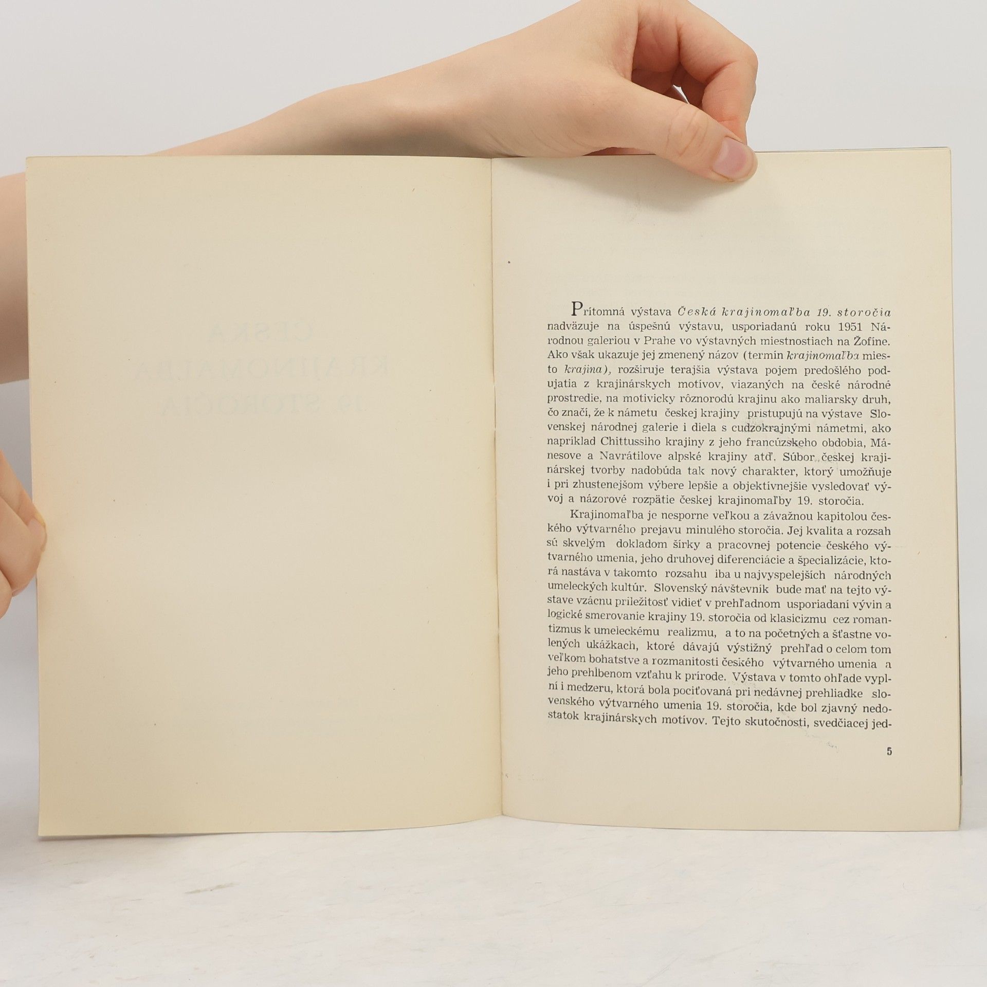 Collectif d'auteurs Česká krajinomaľba 19. storočia