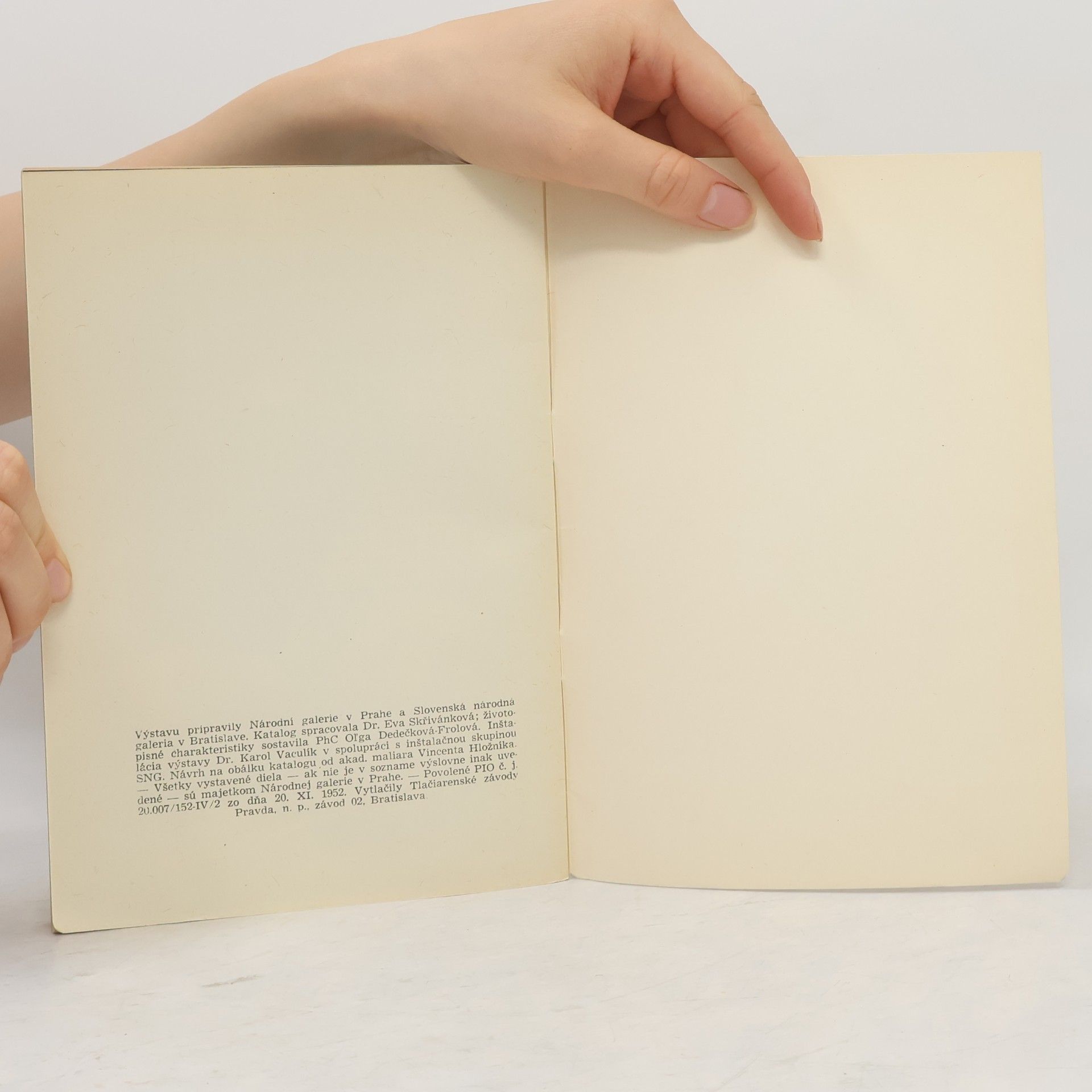 Collectif d'auteurs Česká krajinomaľba 19. storočia