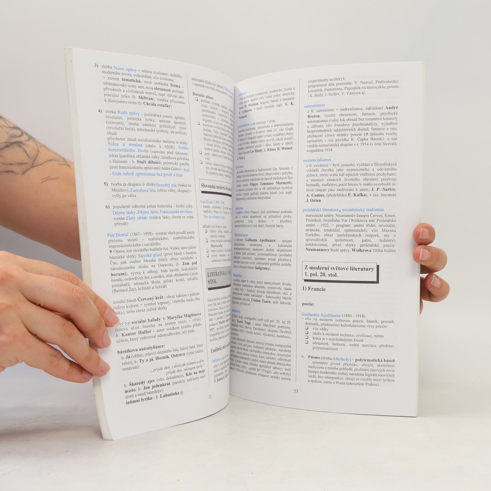Marie Sochrová Literatura v kostce. Pro střední školy