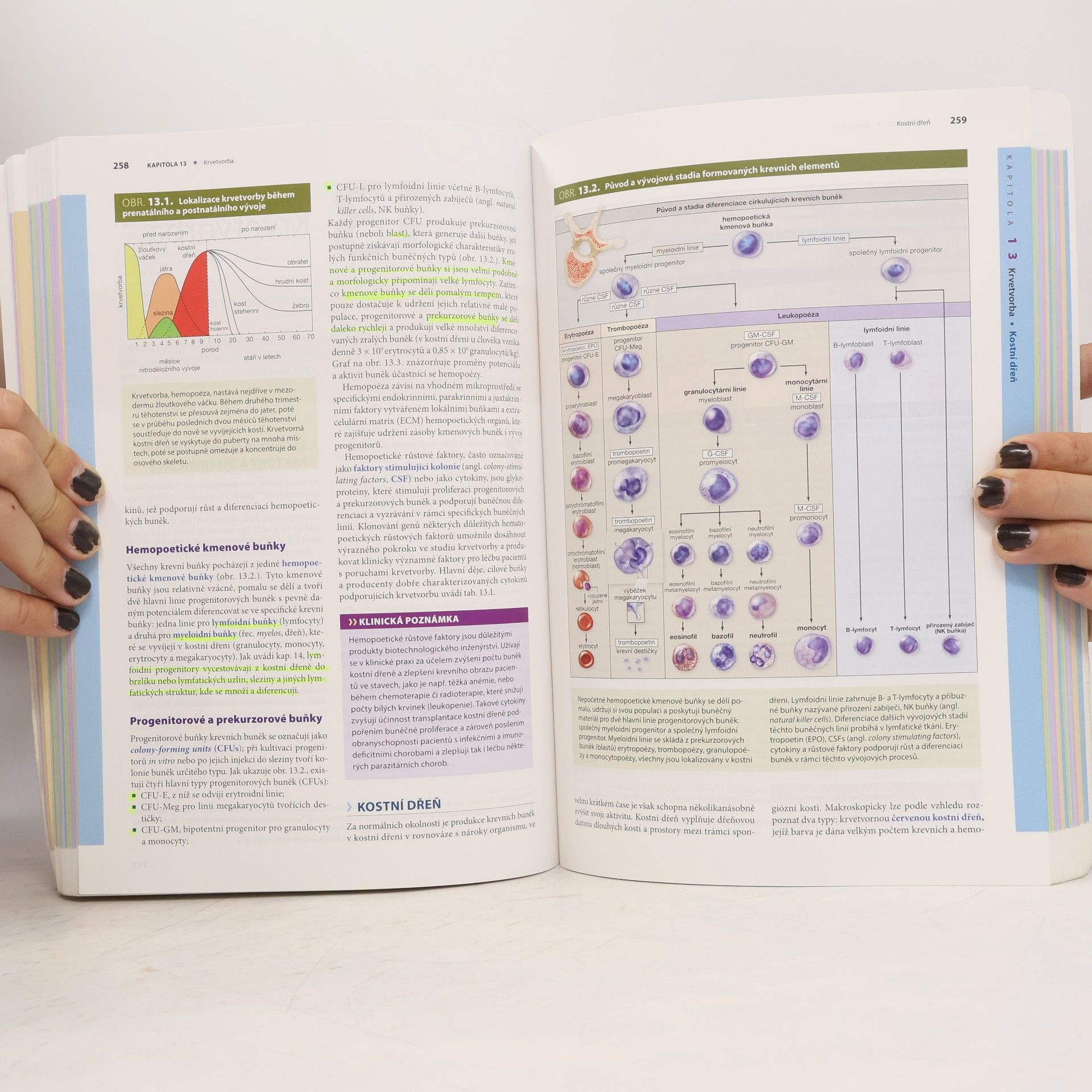 Anthony L. Mescher Junqueirovy základy histologie
