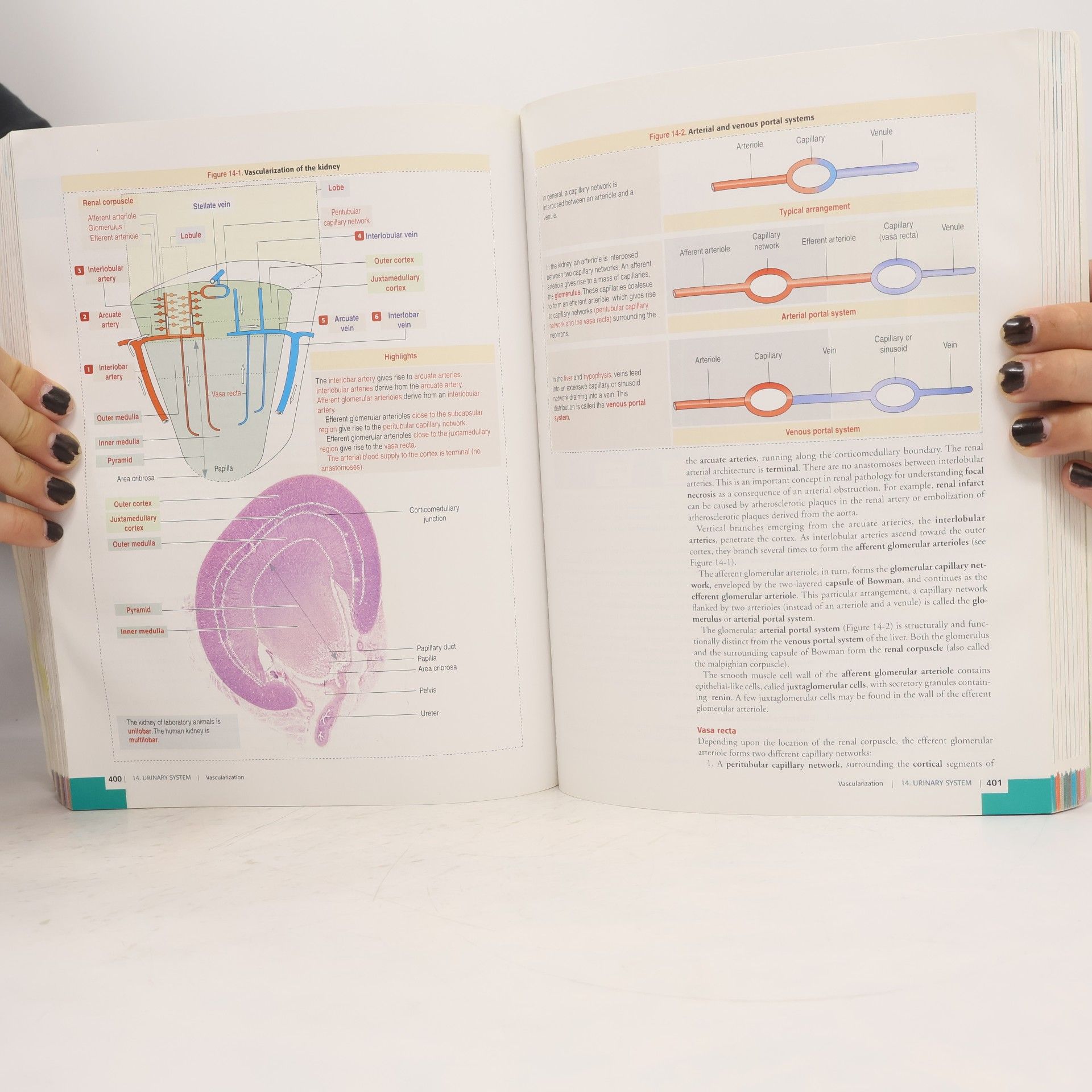 Abraham L. Kierszenbaum Histology and Cell Biology