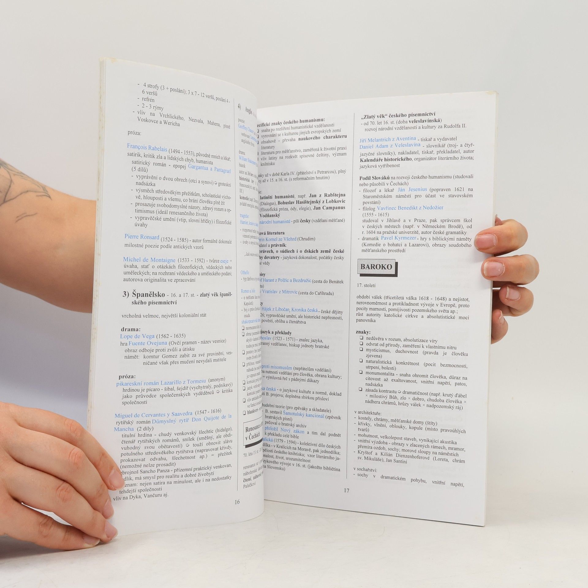 Marie Sochrová Literatura v kostce pro střední školy