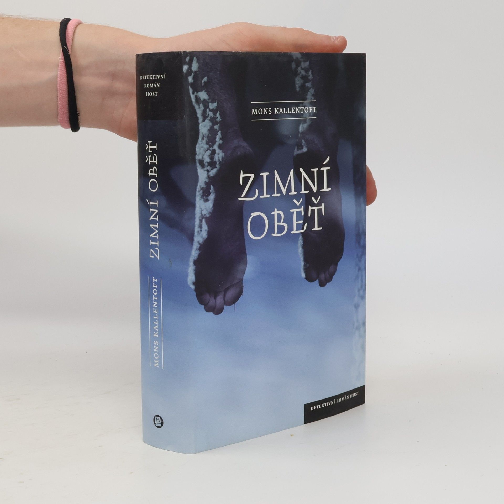 Mons Kallentoft Zimní oběť