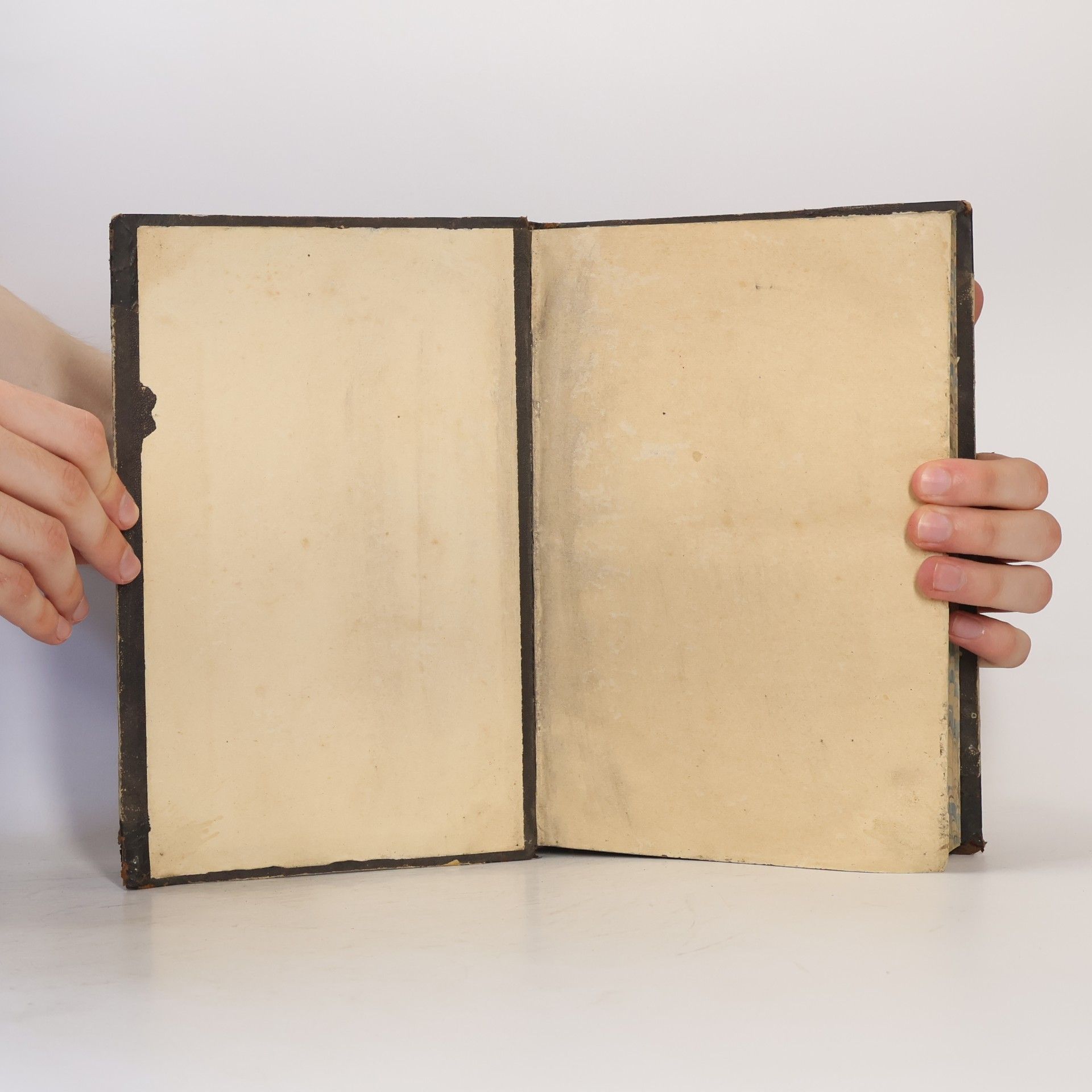 Innocencius Ant. Frencl Biblická encyklopédie čili seznam důležitějších textů písma sv.