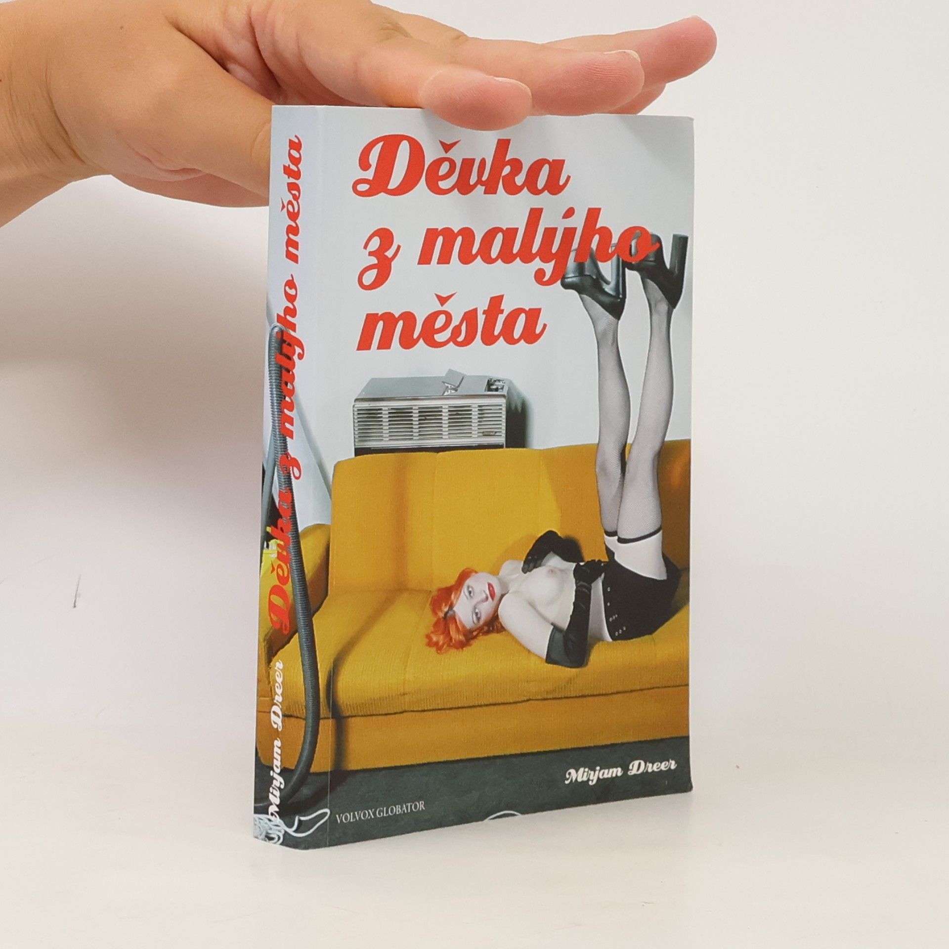 Mirjam Dreer Děvka z malýho města