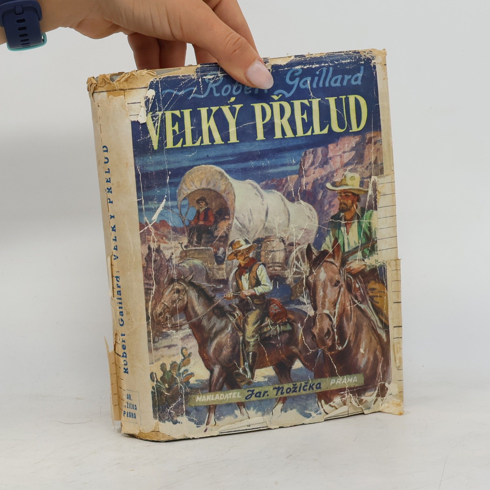 Robert Gaillard Velký přelud