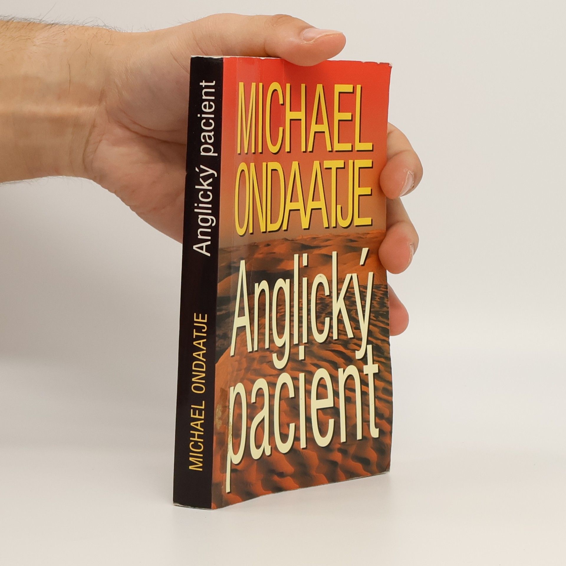 Michael Ondaatje Anglický pacient