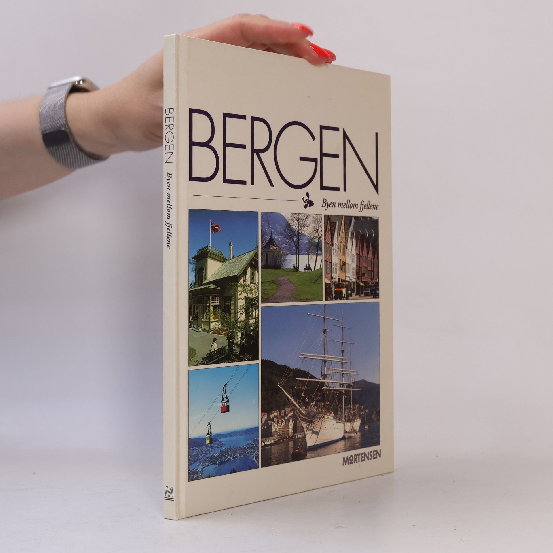 Gro Stangeland Bergen Byen mellom fjellene