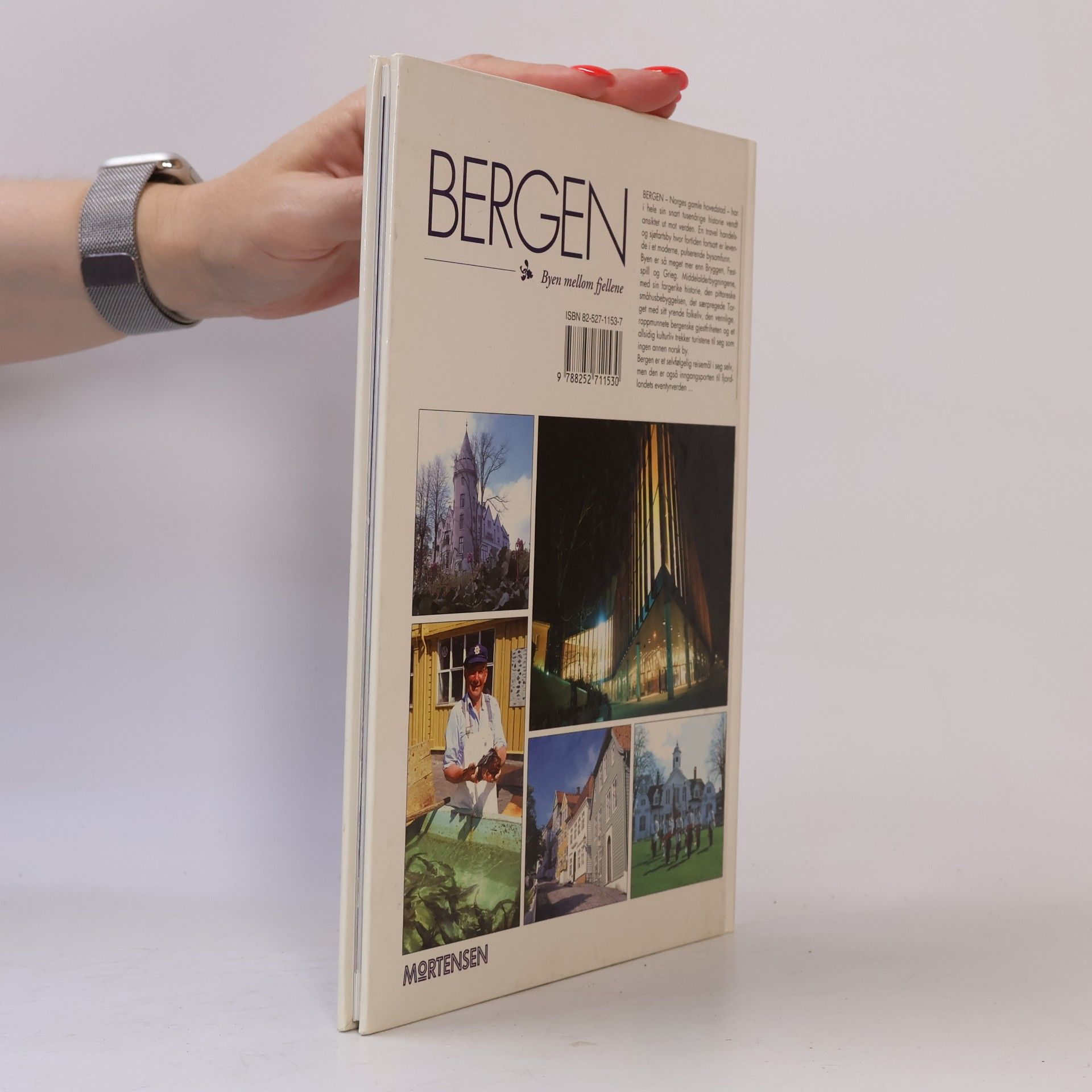 Gro Stangeland Bergen Byen mellom fjellene