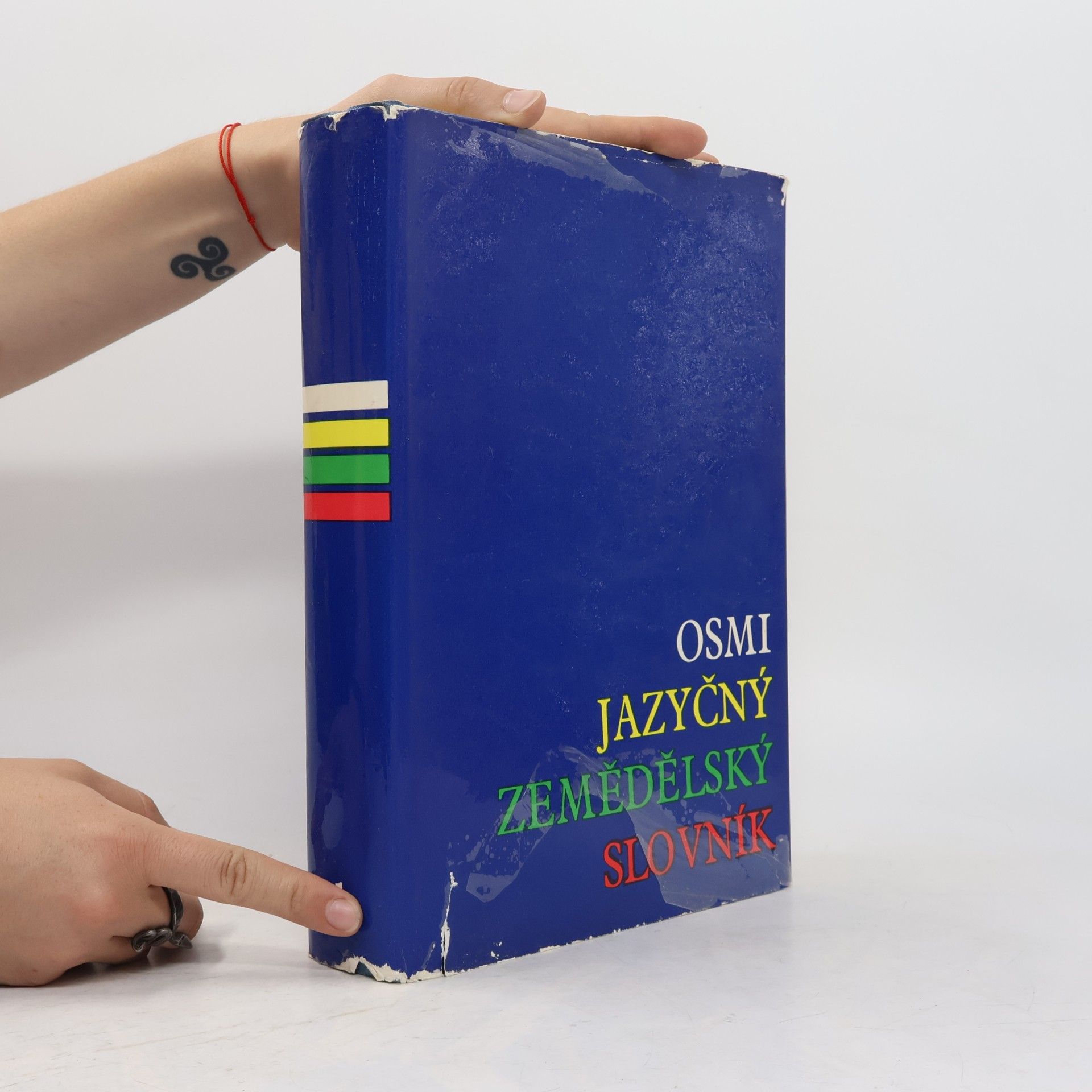 Autorenkollektiv Osmijazyčný zemědělský slovník 1