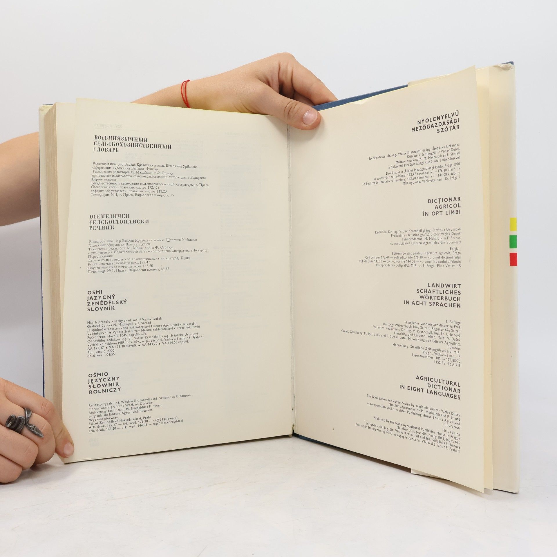 Autorenkollektiv Osmijazyčný zemědělský slovník 1