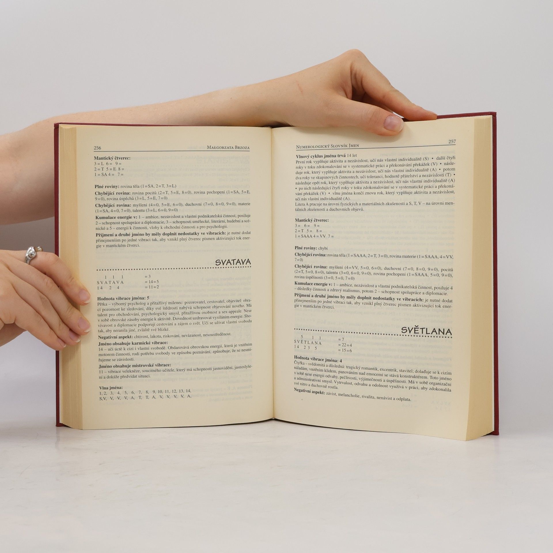 Małgorzata Brzoza Osud podle jména. Numerologický průvodce 21. století