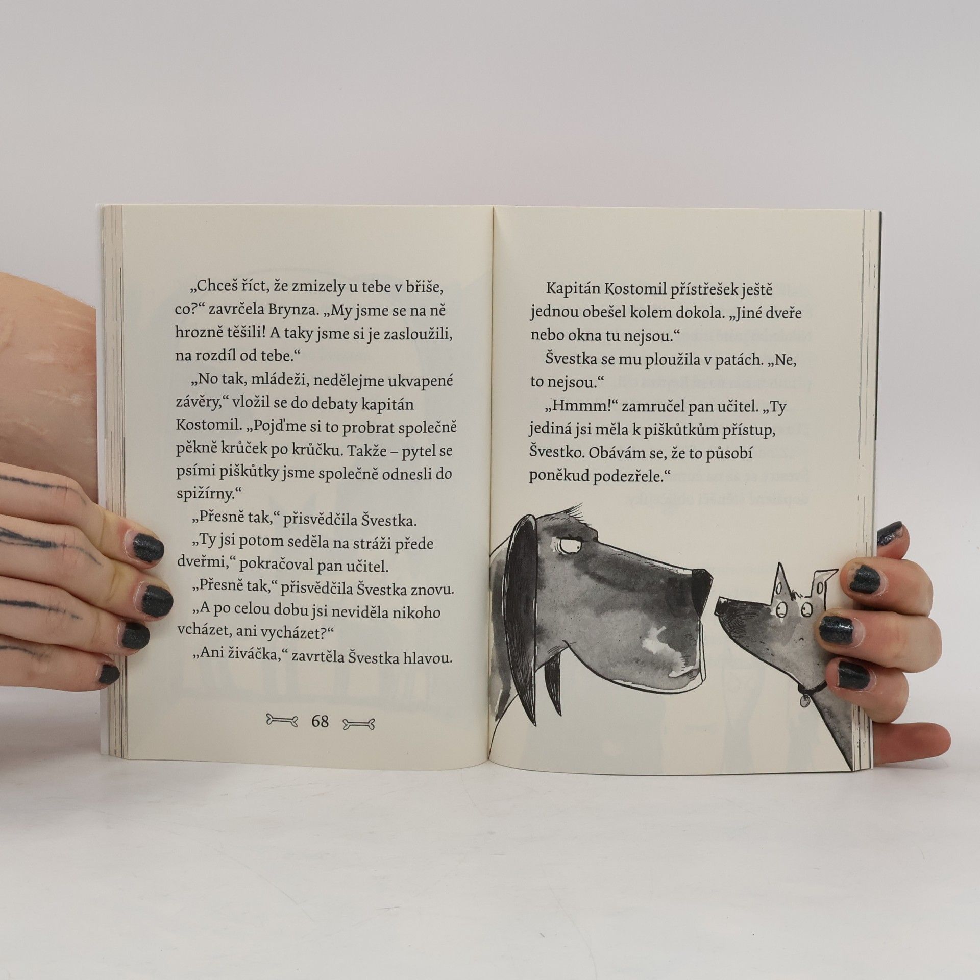 Gill Lewis Špekáčkova psí akademie. Švestka a zloděj klobásek