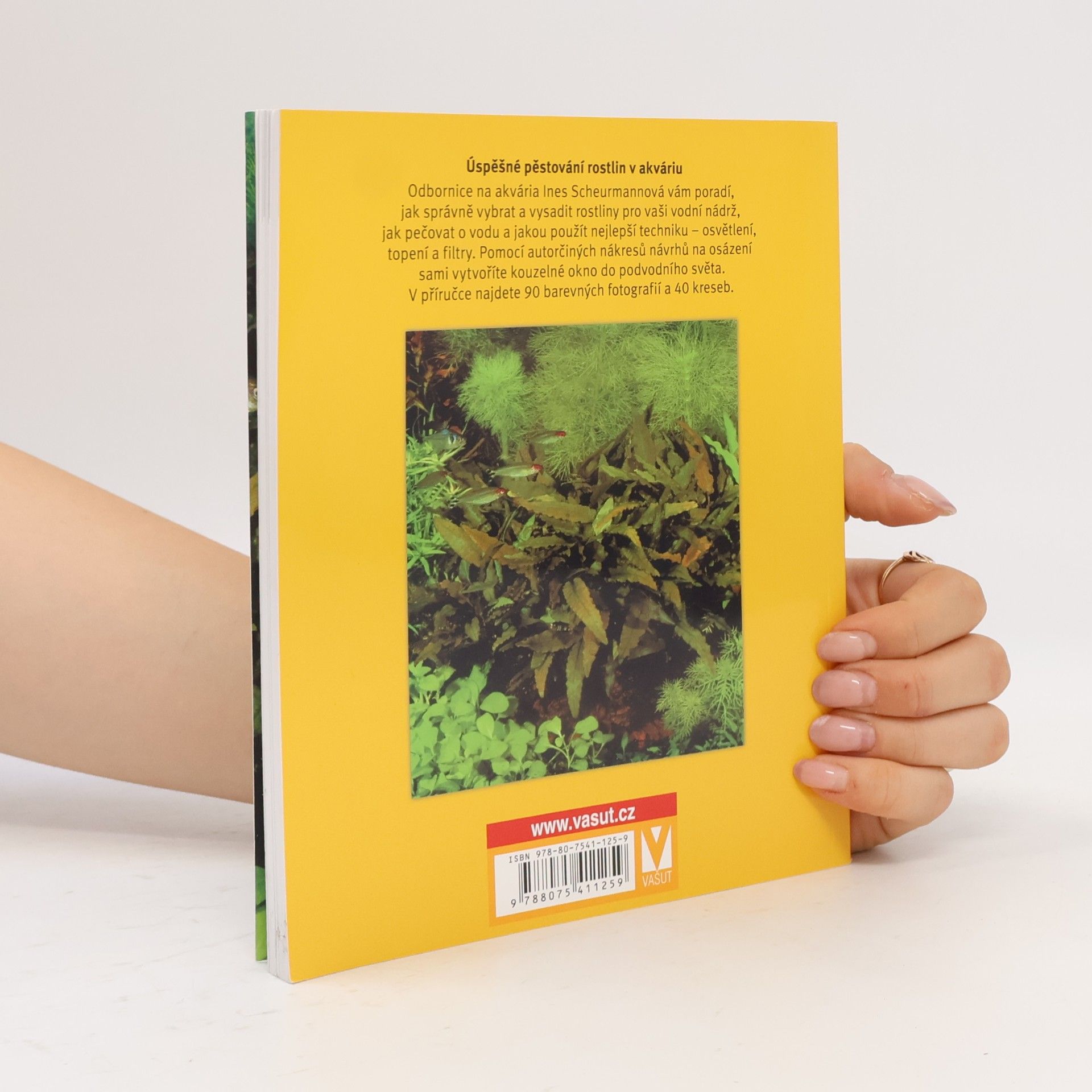 Autorenkollektiv Akvarijní rostliny. Odborný rádce pro výběr, výsadbu, pěstování a množení