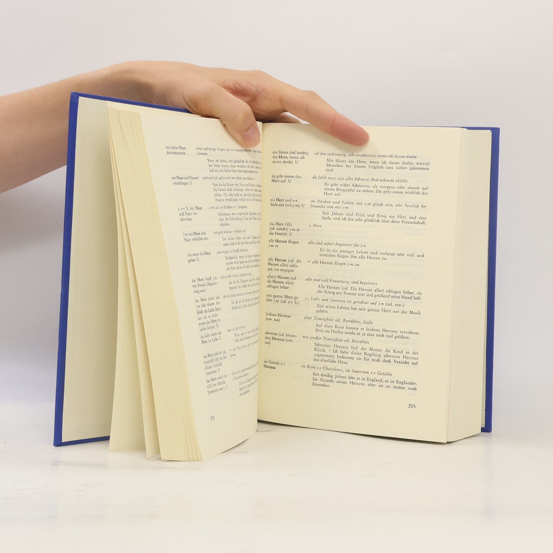 Friederich Wolf Moderne deutsche Idiomatik