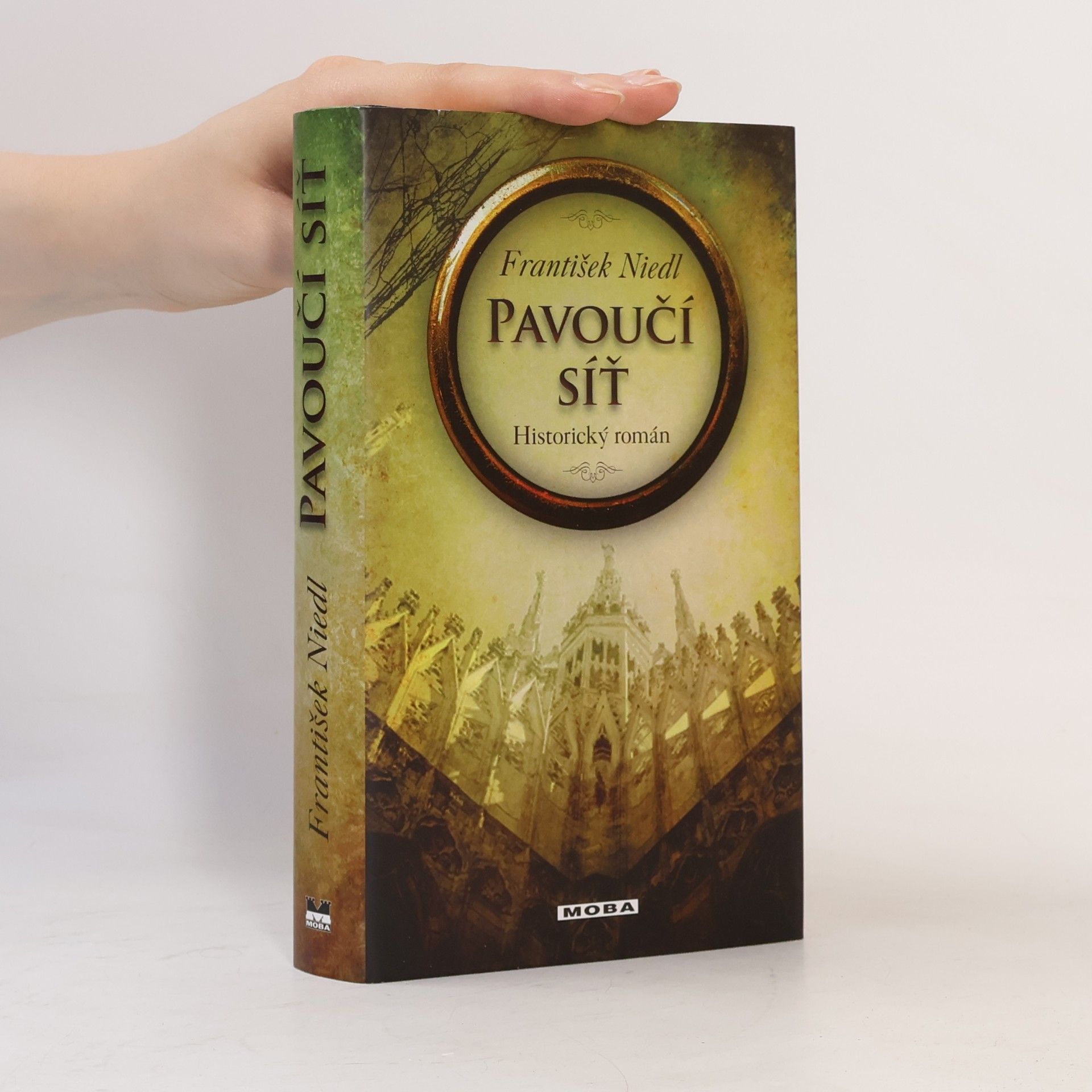 František Niedl Pavoučí síť : historický román